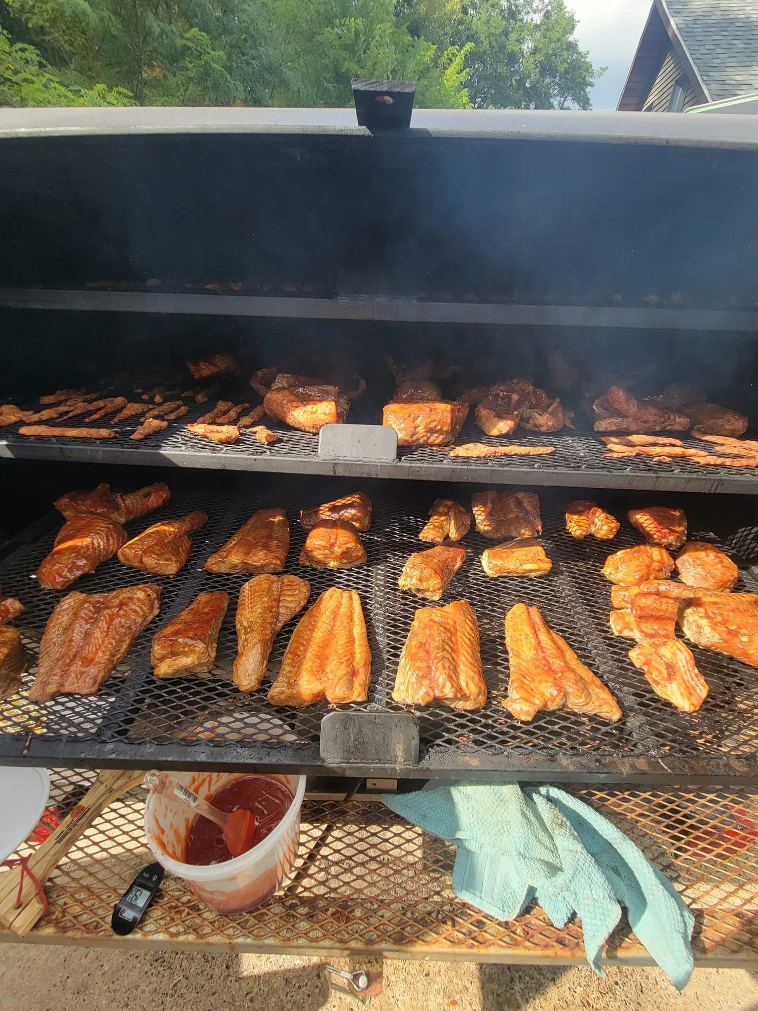 Tour Jayco Fish and Cheese