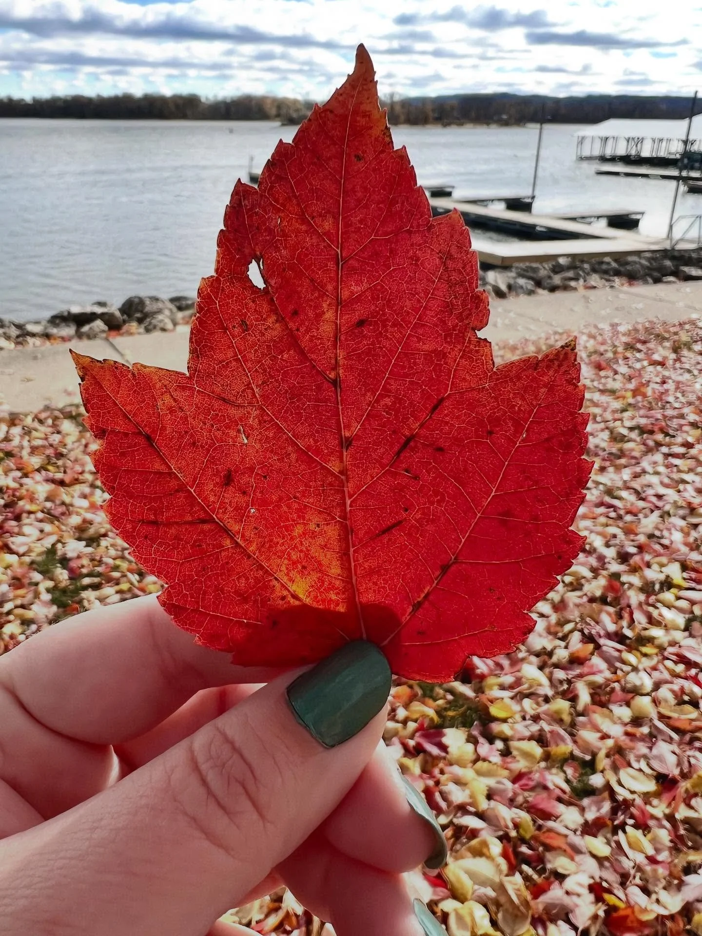 We are letting go of fall, but oh how beautiful it was. 🍁

#portsofdiscovery #McGregorIowa #marquetteiowa #fall #fallleaves #autumn #fallcolors #goodbyefall