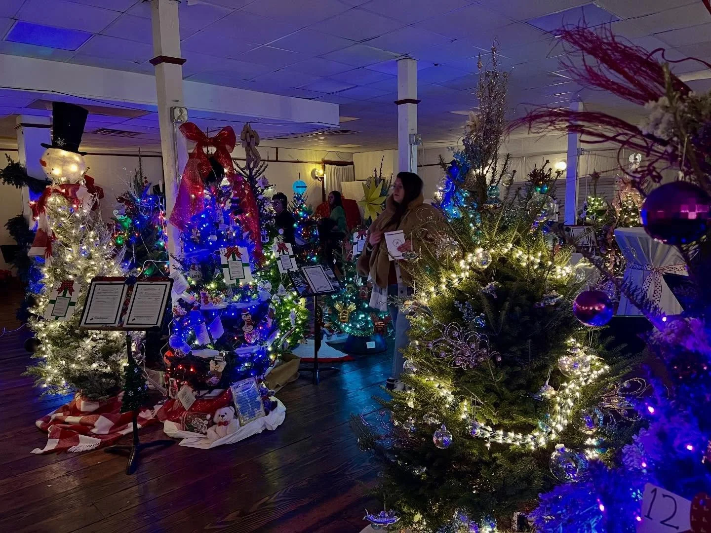 Experience all the beauty and joy of the holiday season at McGregor&rsquo;s Festival of Trees!🎄

🎅 Christmas Trivia at Old Man River Restaurant and Brewery | Wednesday, Dec. 3, 6-8 p.m.

🍰 Dessert Among the Trees at Backwoods Event Center | Thursd