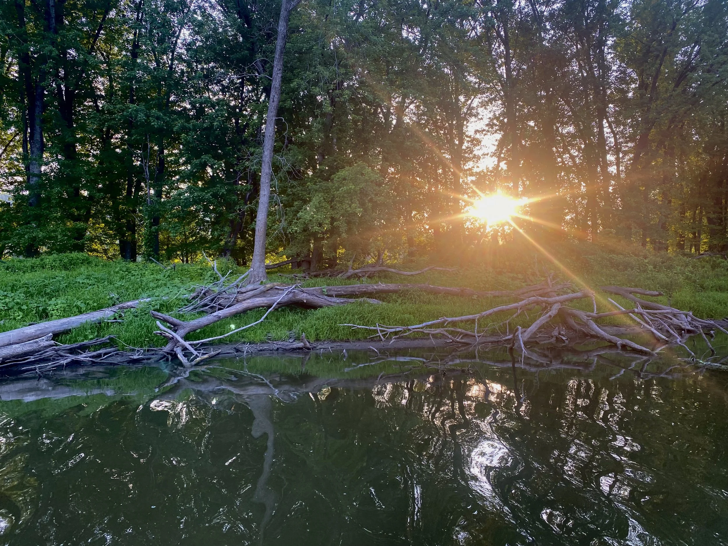 FullSizeRender 2.jpg