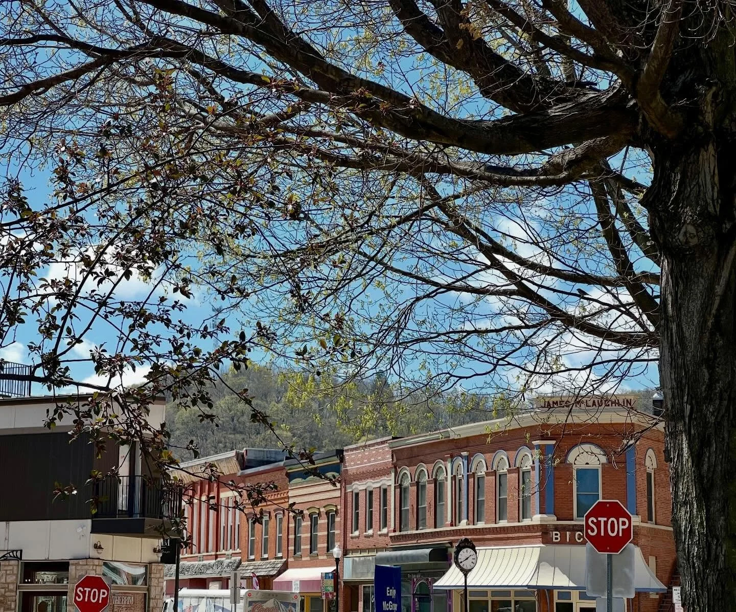 Spring is HERE! 🌳

#mcgregoriowa #portsofdiscovery #spring