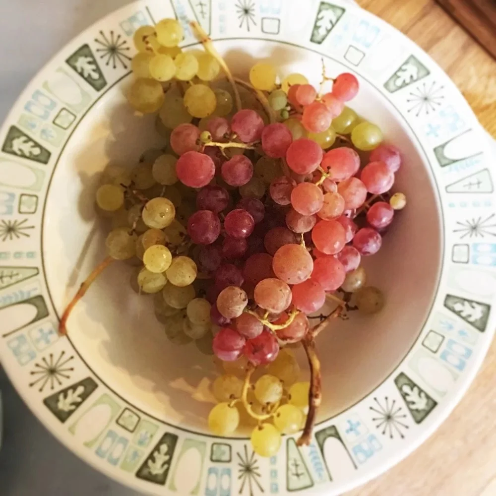 Photograph of a bowl of green and red grapes.