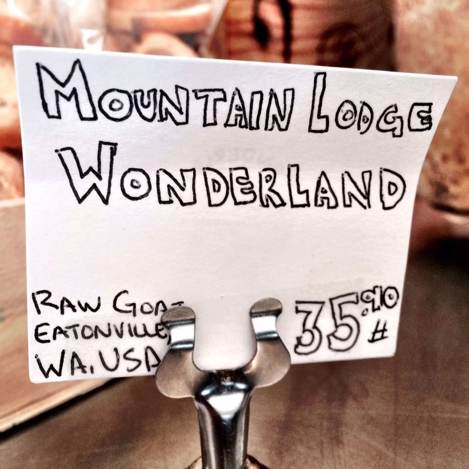 MountainLodgeWonderland.jpeg