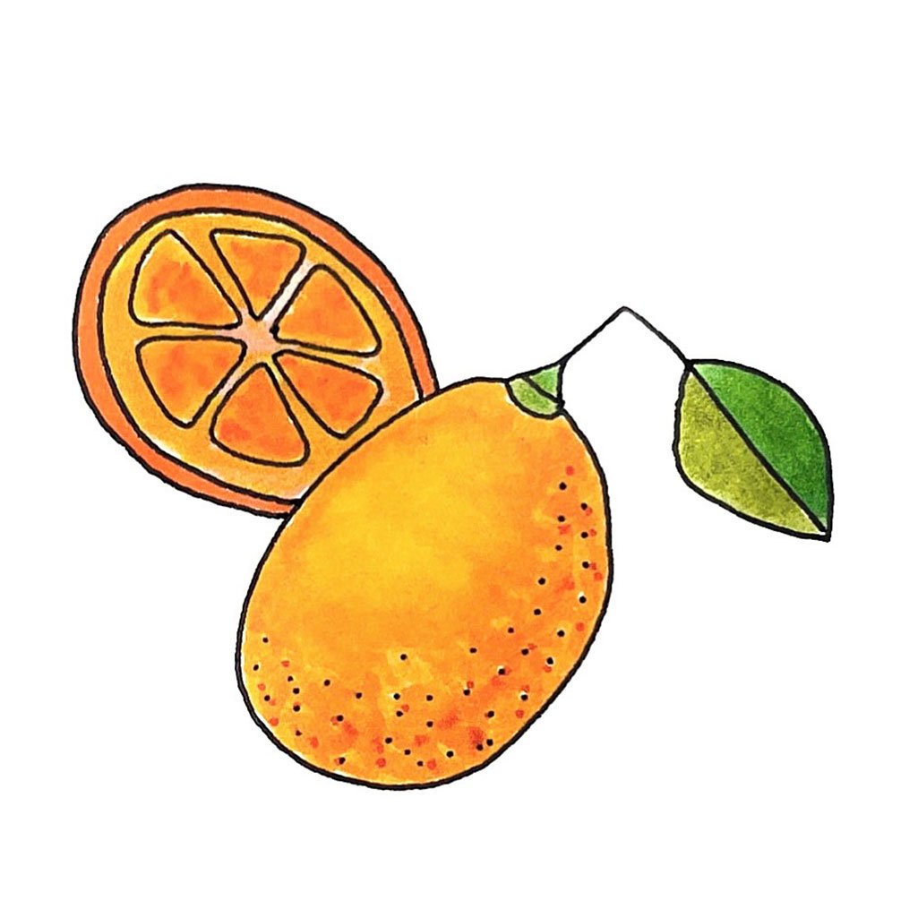 MEMORY AND MARMALADE