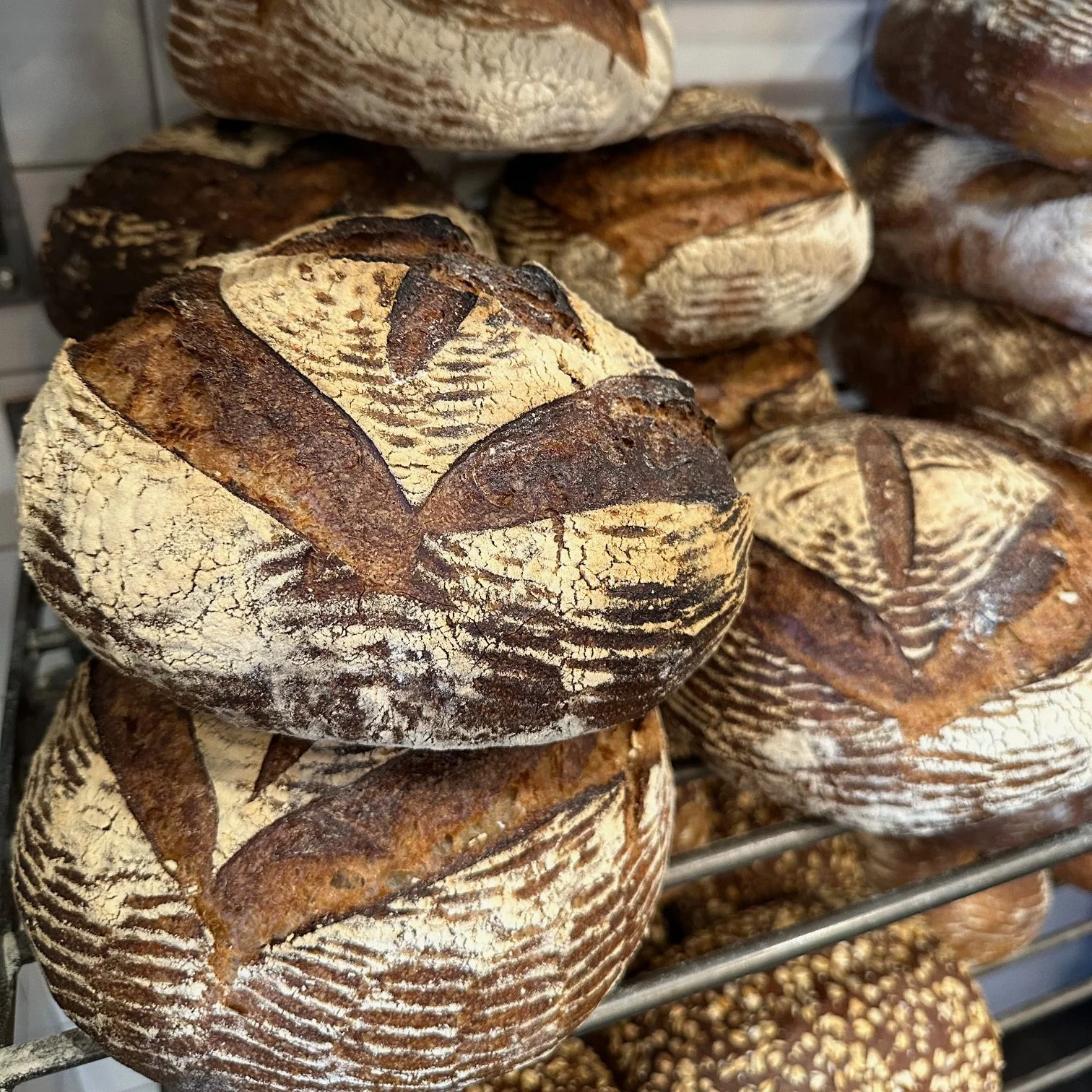 Photograph of more than a dozen loaves of freshly baked bread.