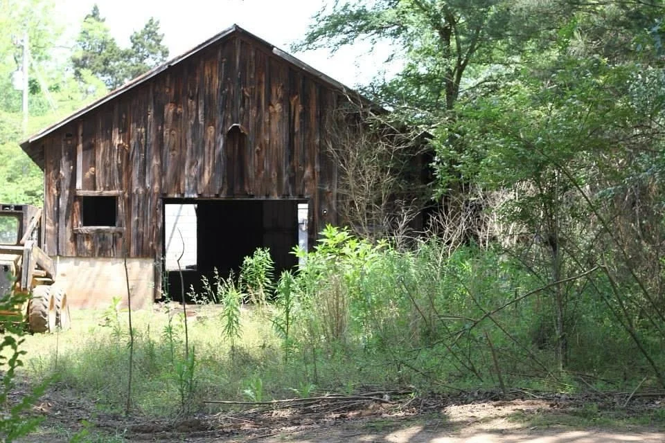 Covered in privet.  This gem was almost lost to Mother Nature and forgotten by humans.
&bull;
So thankful to have revived her.
&bull;
@haley.browning 
@elizabethb.09 
@itmoutdoors
