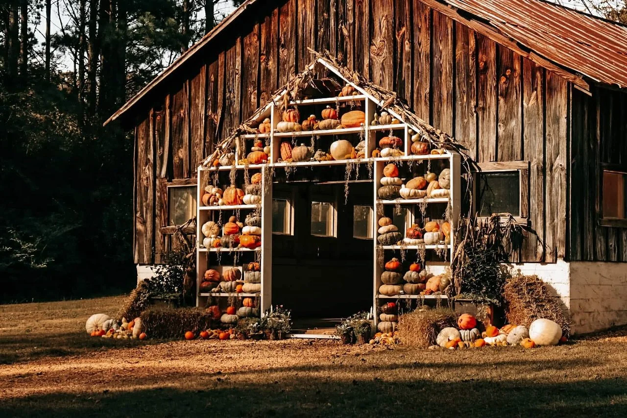 Gorgeous pics from Jessi Jo Photography this weekend.
&bull;
Link to her page on our FB post!
&bull;
@haley.browning 
@itmoutdoors 
@elizabethb.09