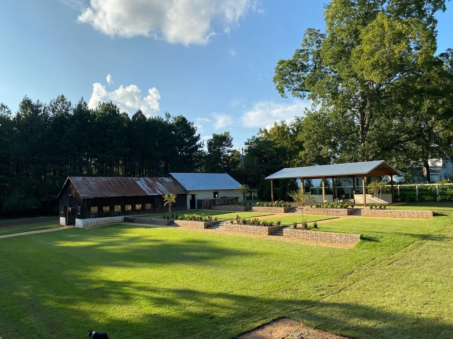 Anyone else wishing for warmer temperatures, lush green grass and plants full of foliage?
👋🏽