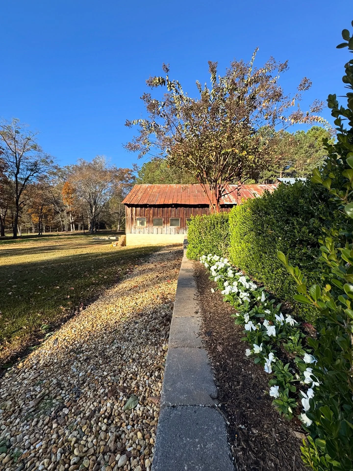 Have a great Friday!
🍁 
Simple&bull;Serene&bull;Southern