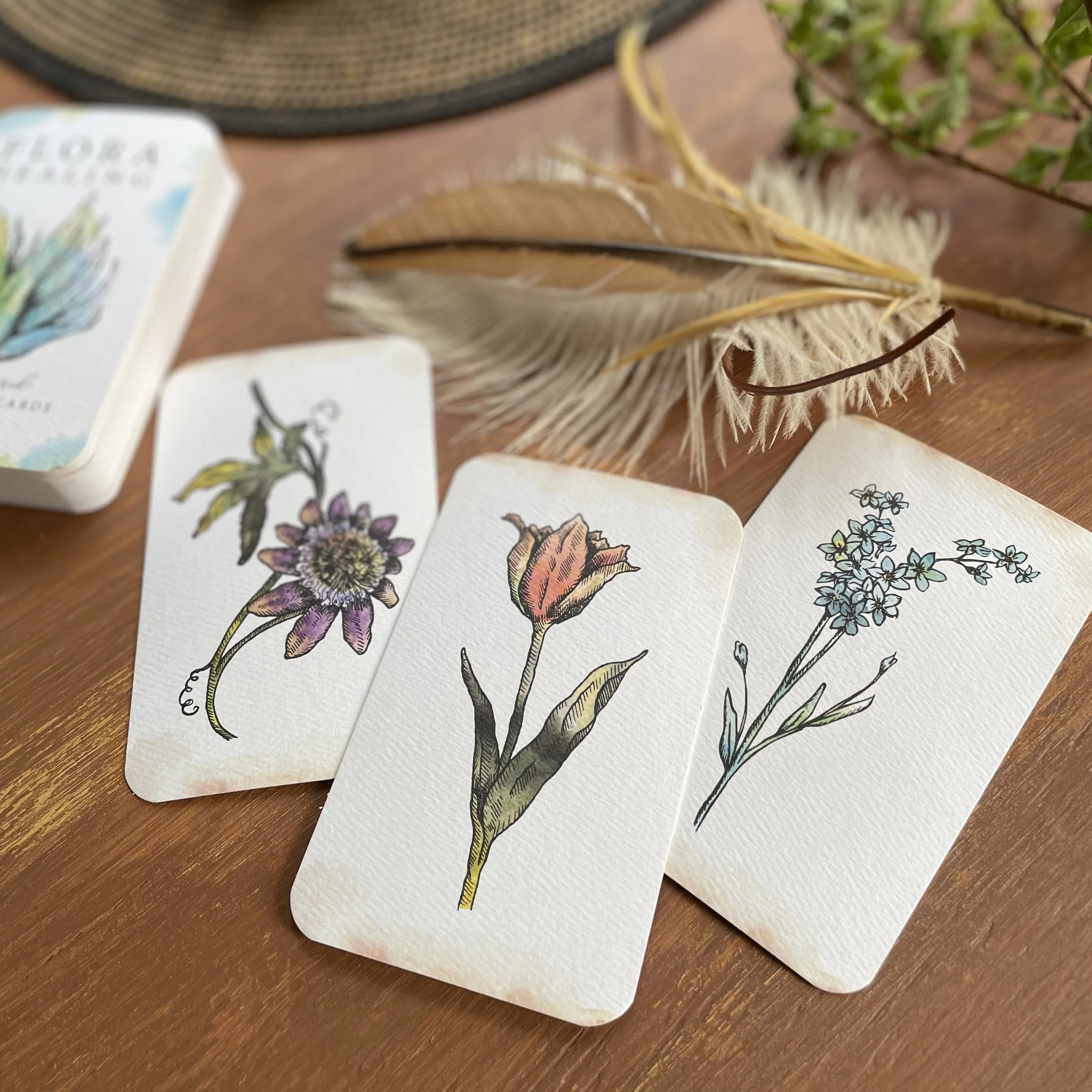 Flora Healing Cards (Deck Only | Box Not Included)