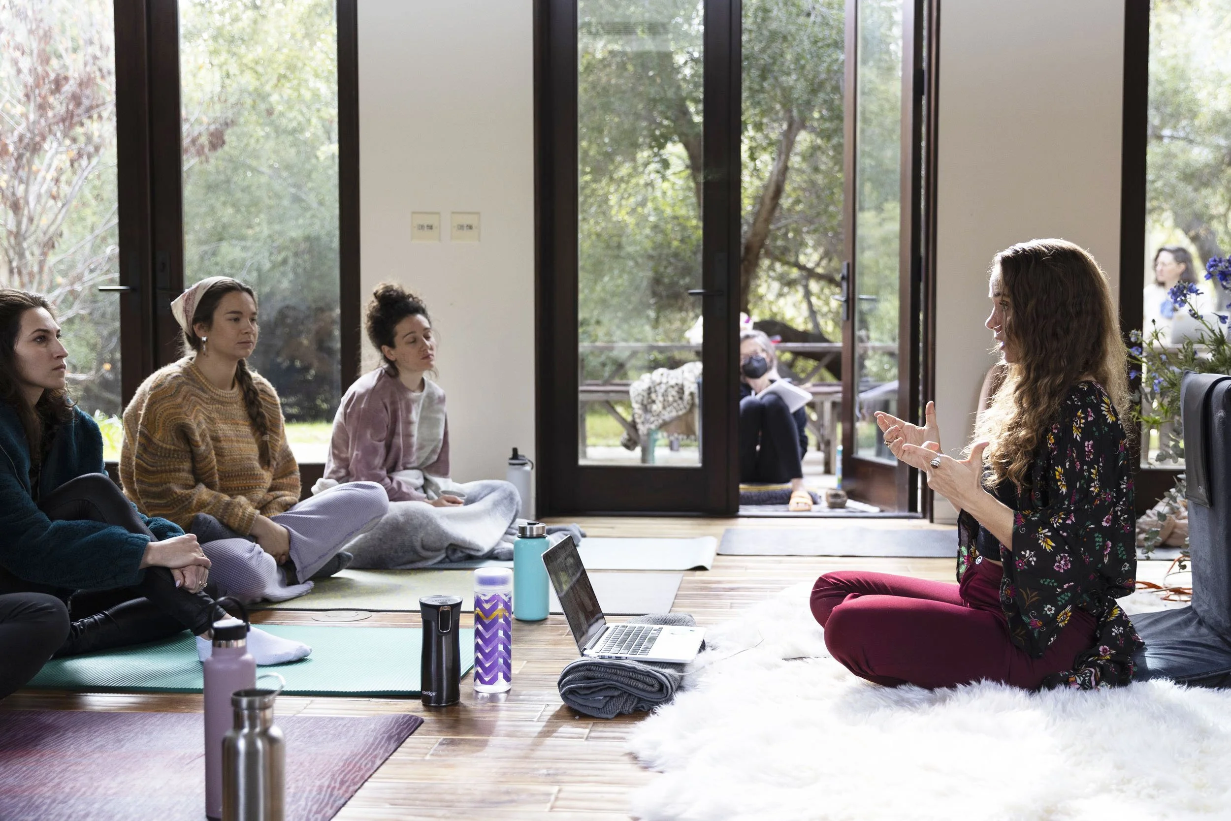 Alchemy Somatics Healer Training — Alchemy Somatics