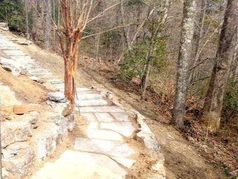 hardscape3-fe4bcf2cfa79004a5ce0c42fc7fc4fbd.jpg