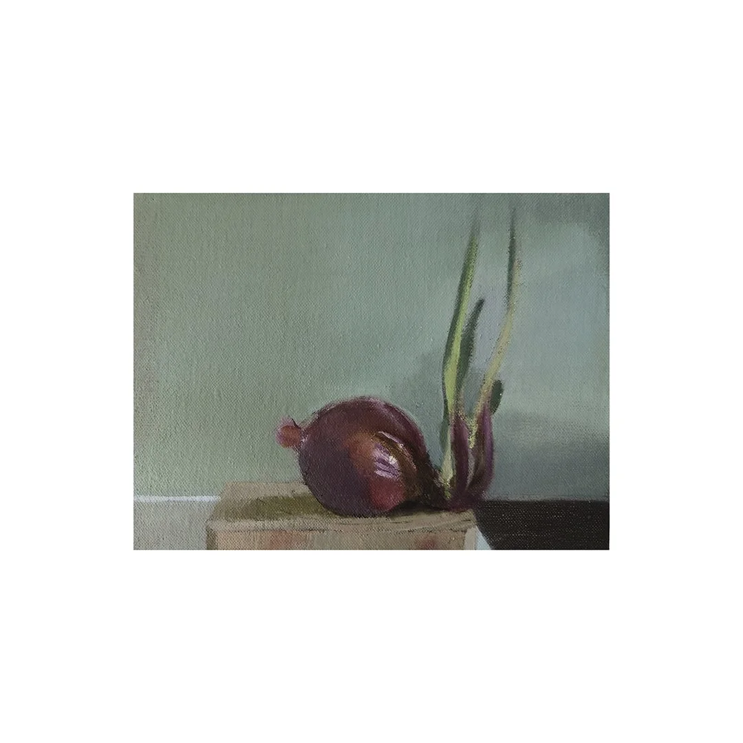 260. Onion (Zwiebel)