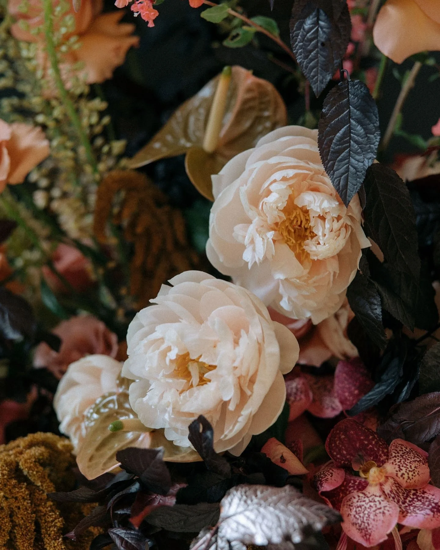 Color = Mood = Vibes
Photo: @ashgabes_photography 
#floraldesigner #moodywedding #moodyvibes #color #colortheory #florist #sandiegoflorist #sandiego #gaslamp #sd #socal #flowers #peonies #summer #summerwedding #2025wedding #2025weddings