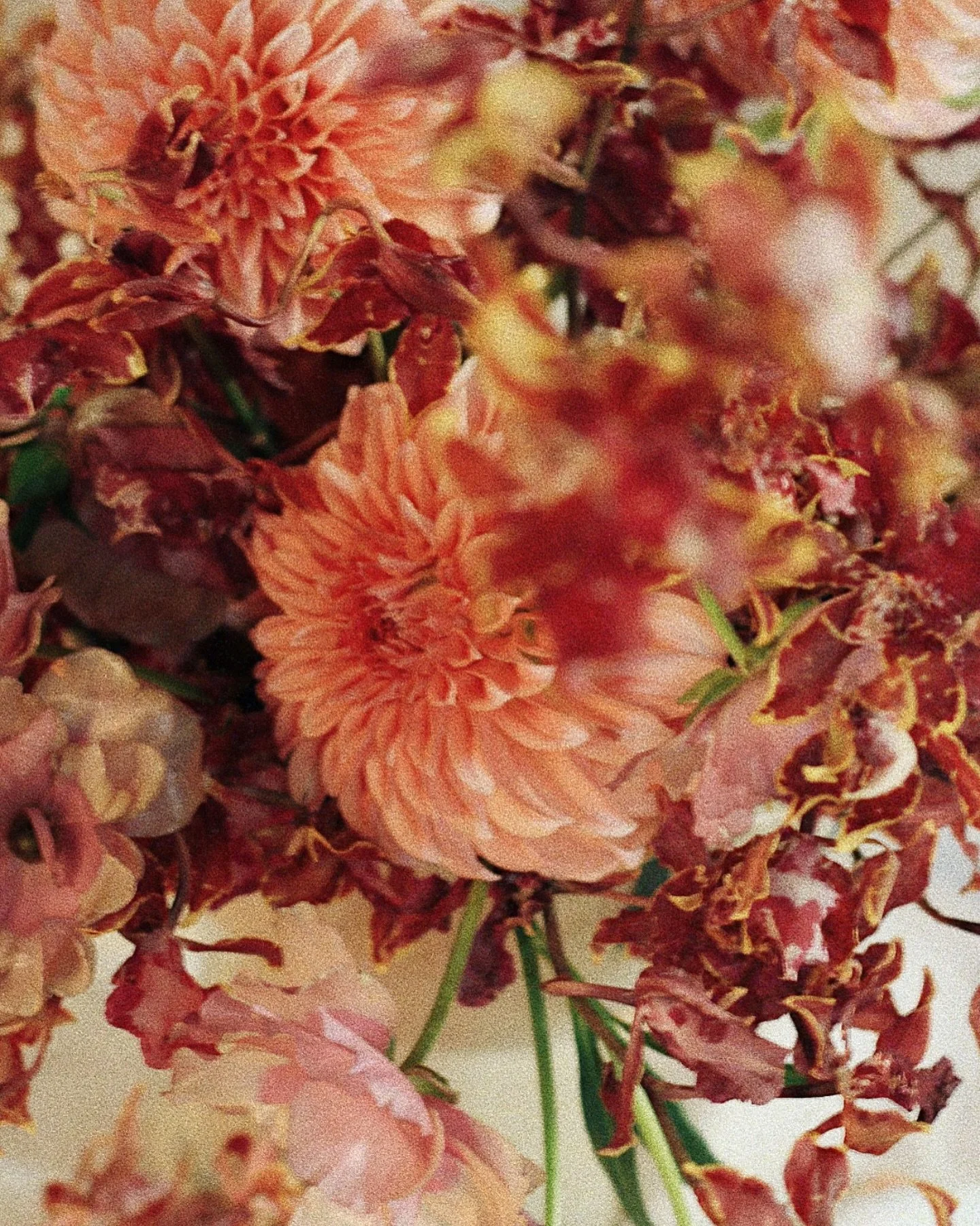 Blood Orange Negroni π