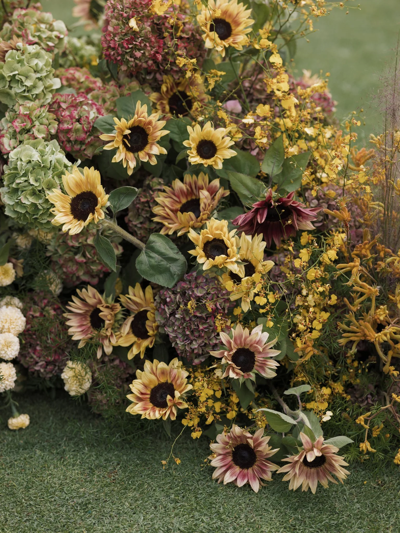 Tracy Wedding - Holly Sigafoos Photo-416.jpg