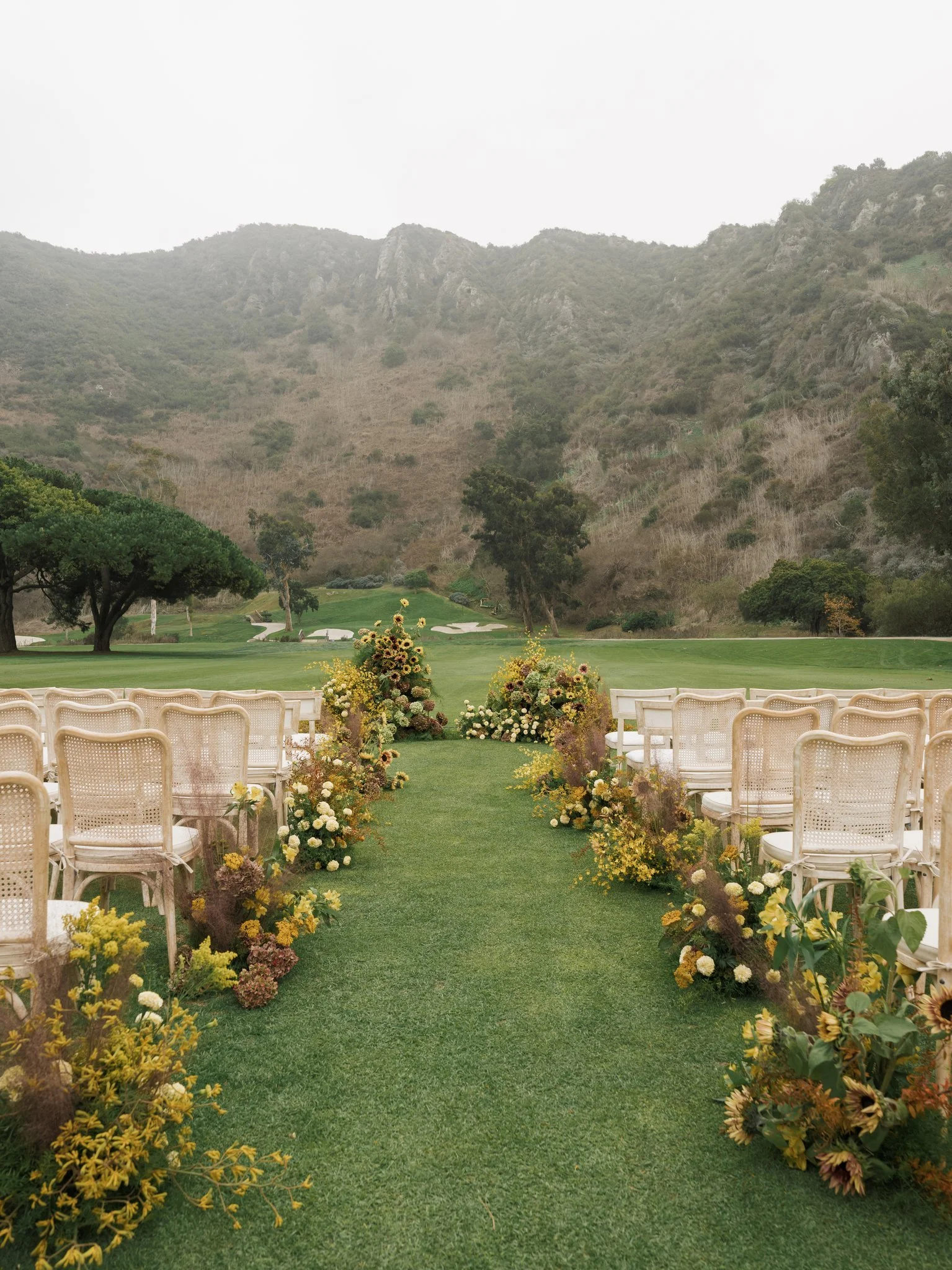 Tracy Wedding - Holly Sigafoos Photo-436.jpg