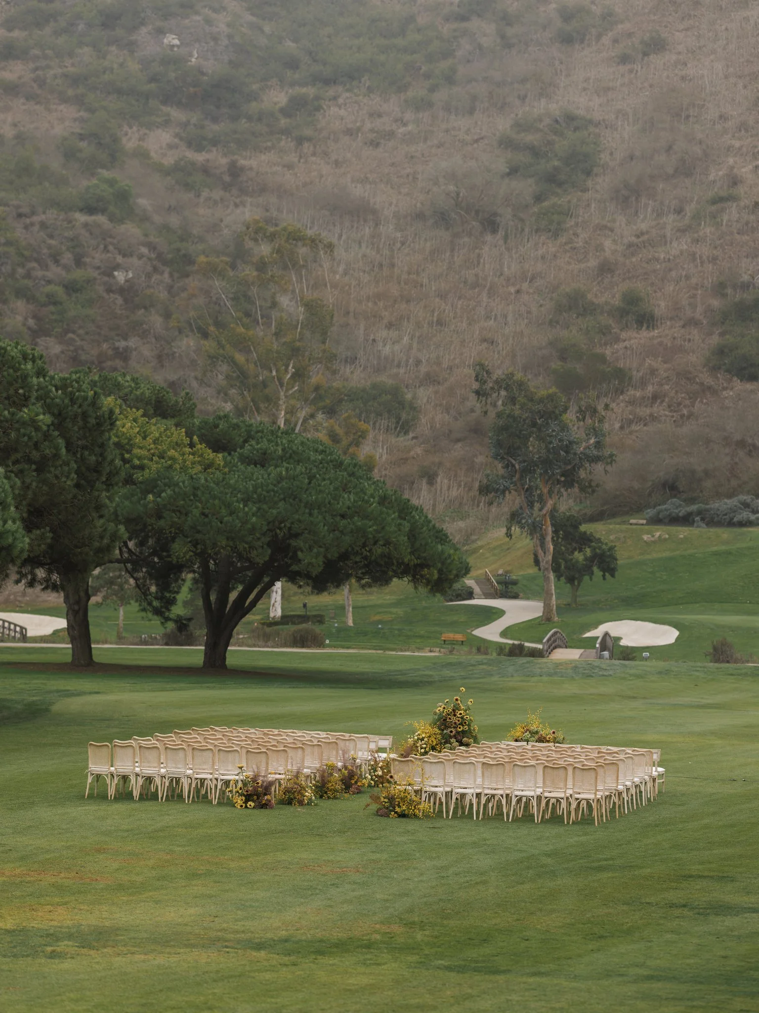 Tracy Wedding - Holly Sigafoos Photo-437.jpg