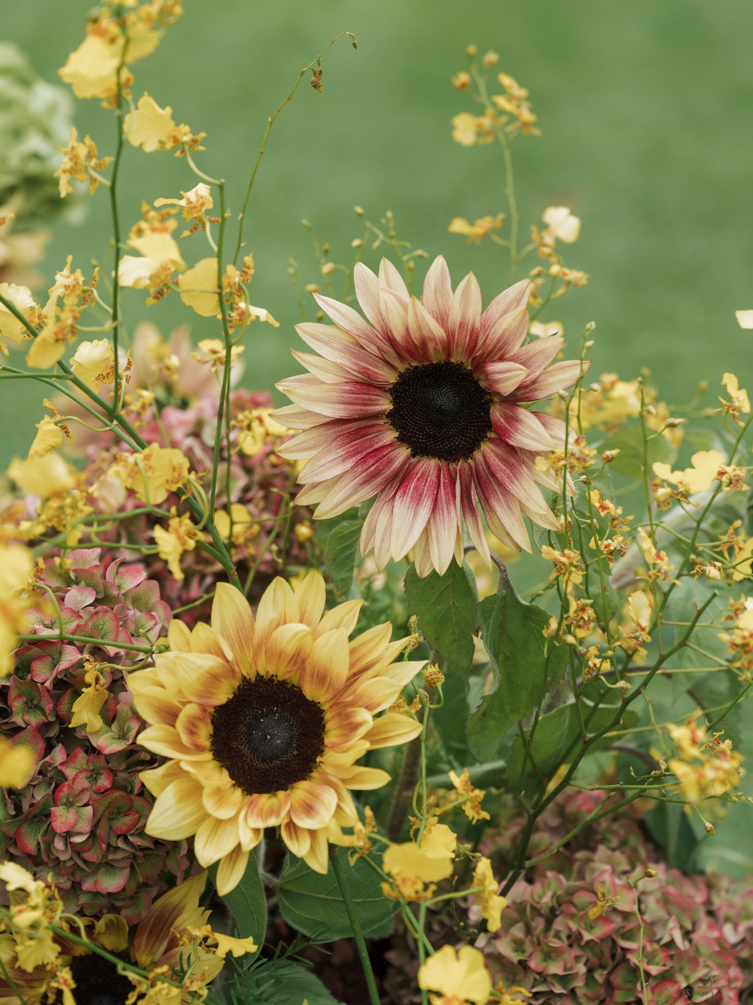 Tracy Wedding - Holly Sigafoos Photo-493.jpg