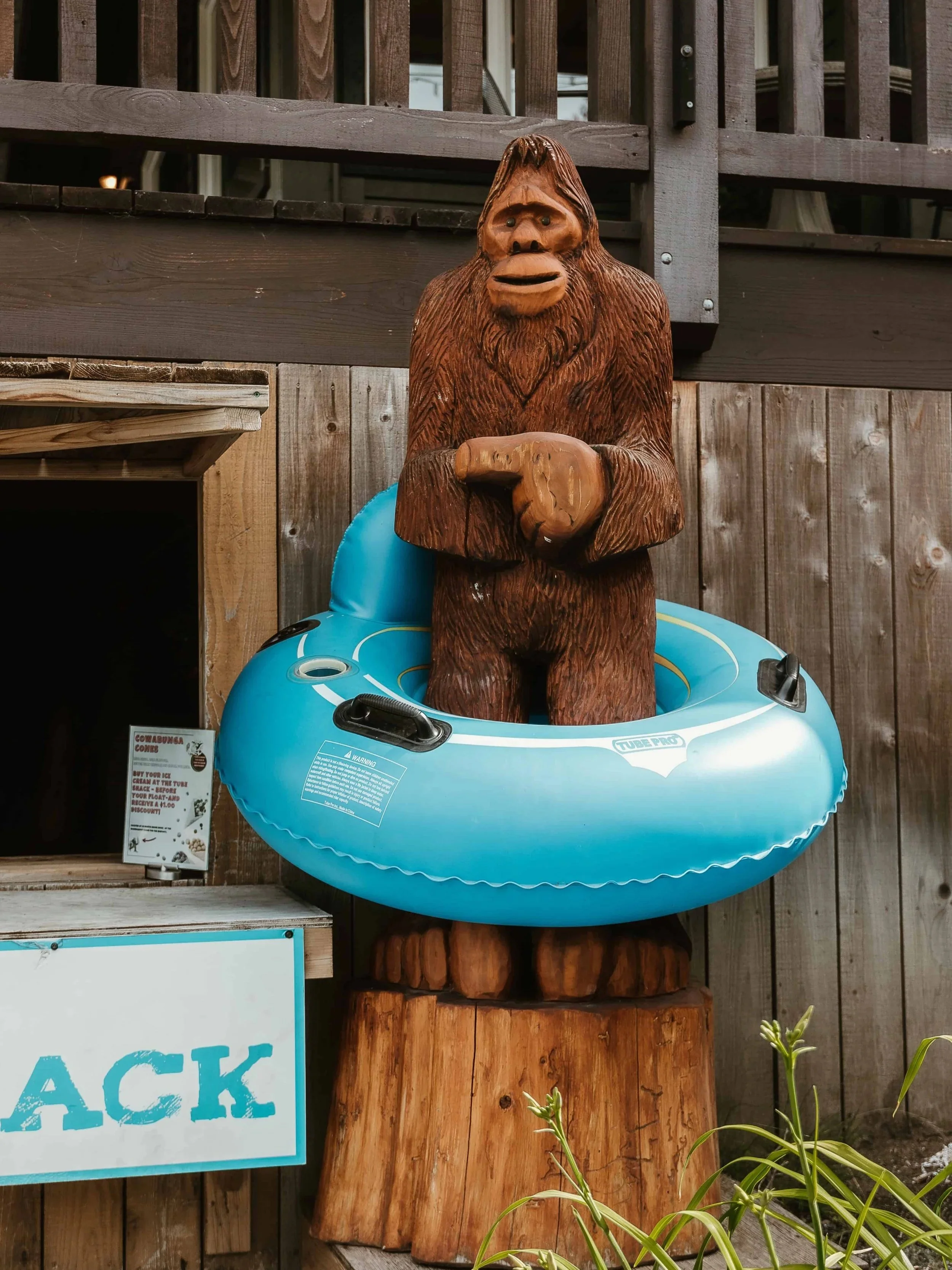 bigfoot*.jpg