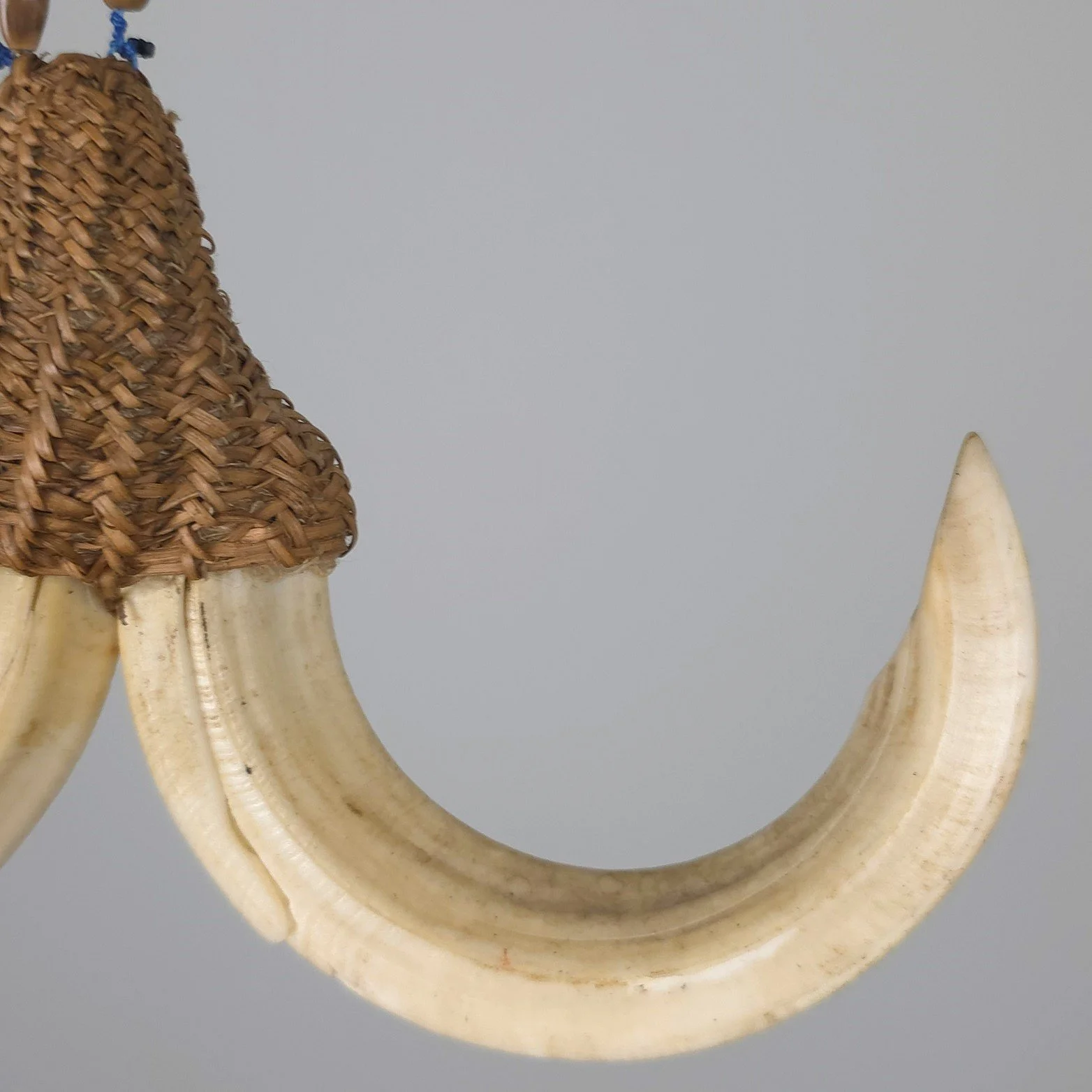 Boar Tusk Ornament