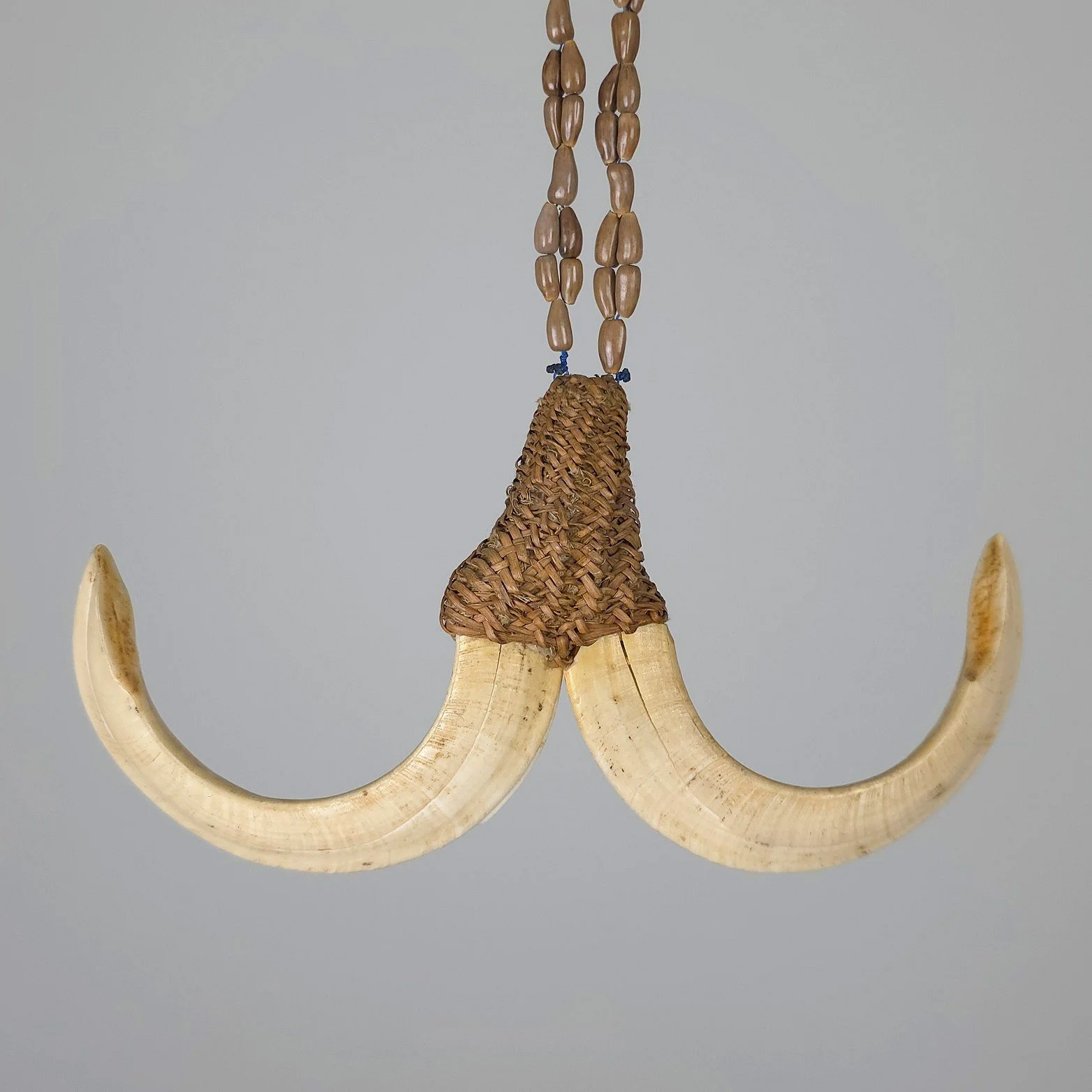Boar Tusk Ornament