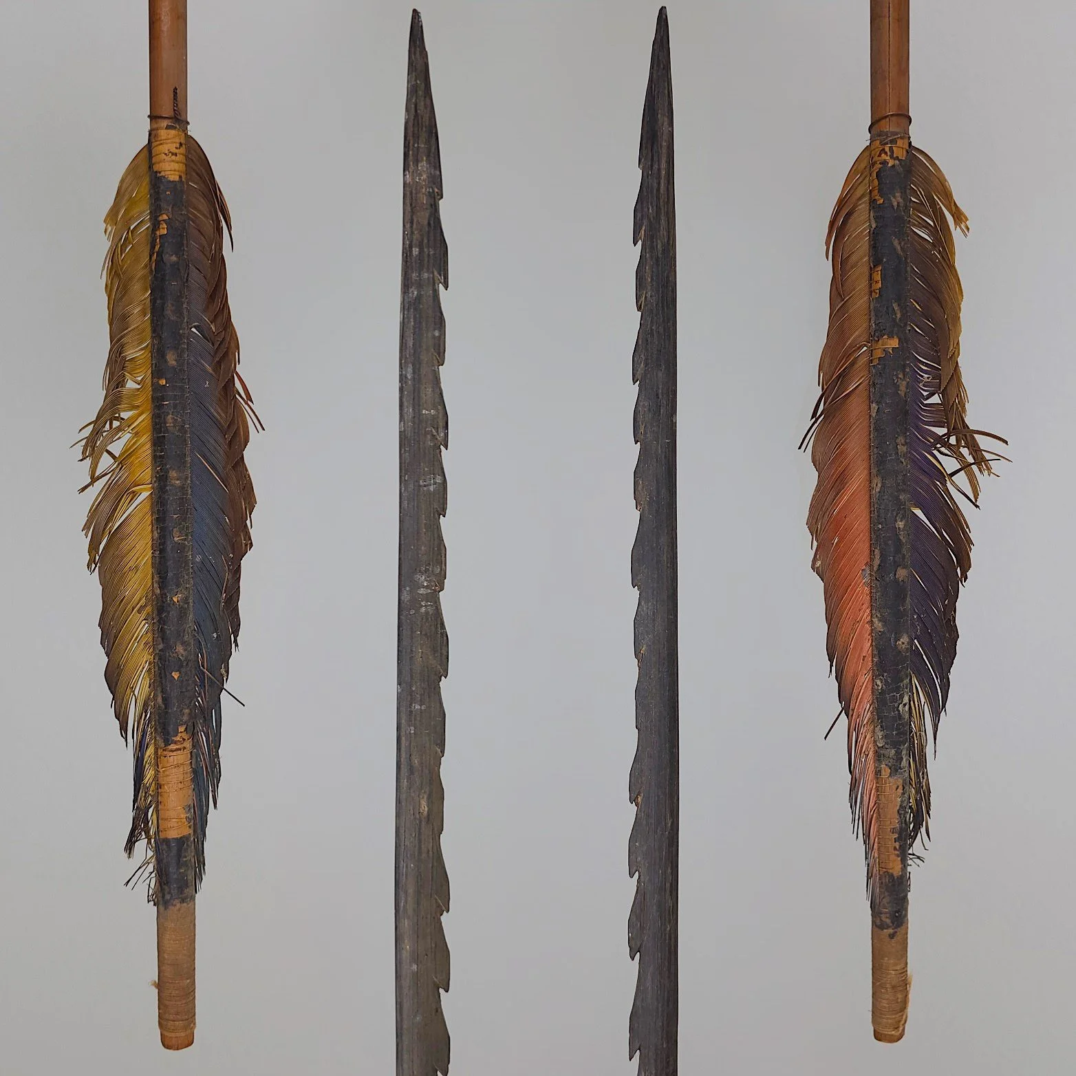 A Set of Amazonian Arrows