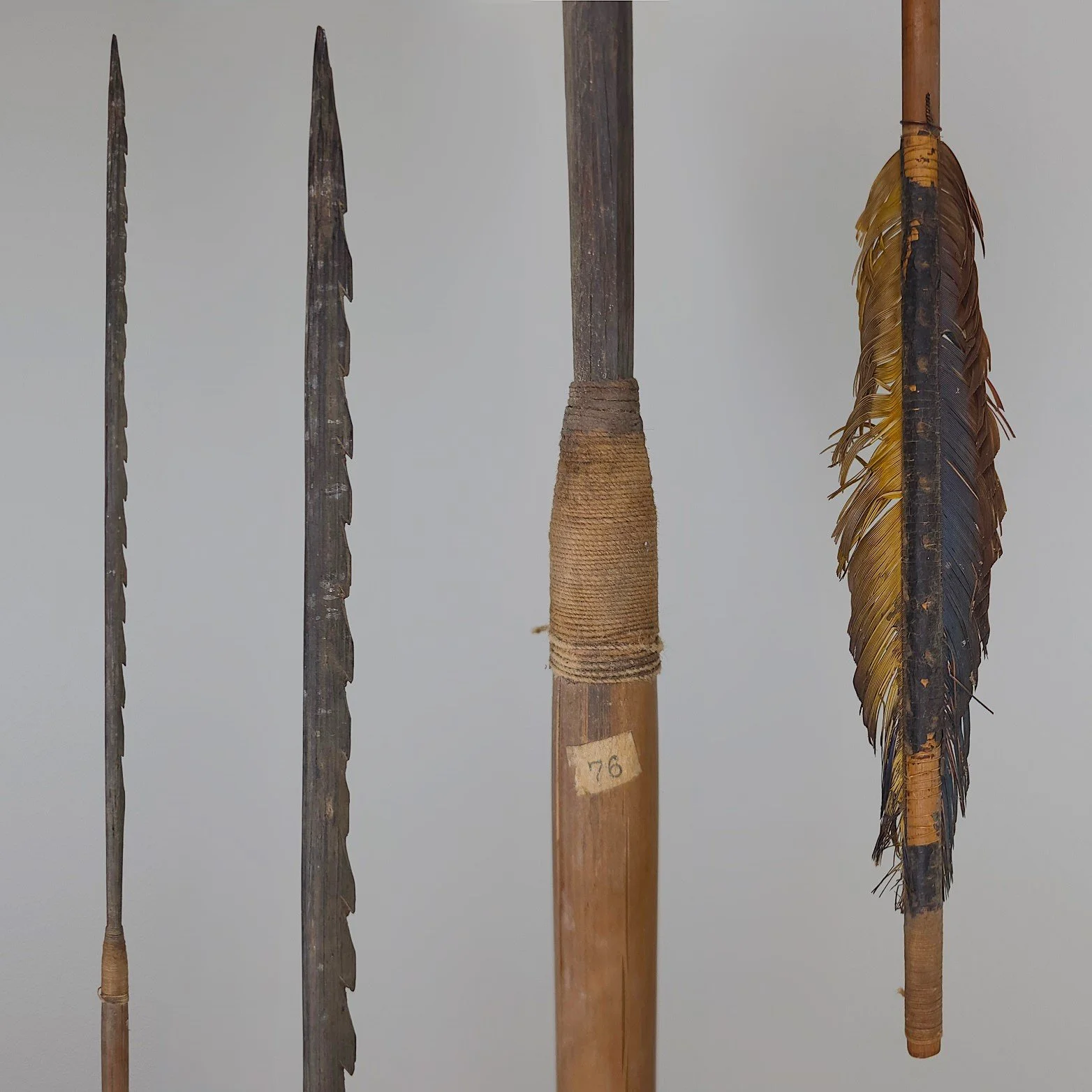 A Set of Amazonian Arrows