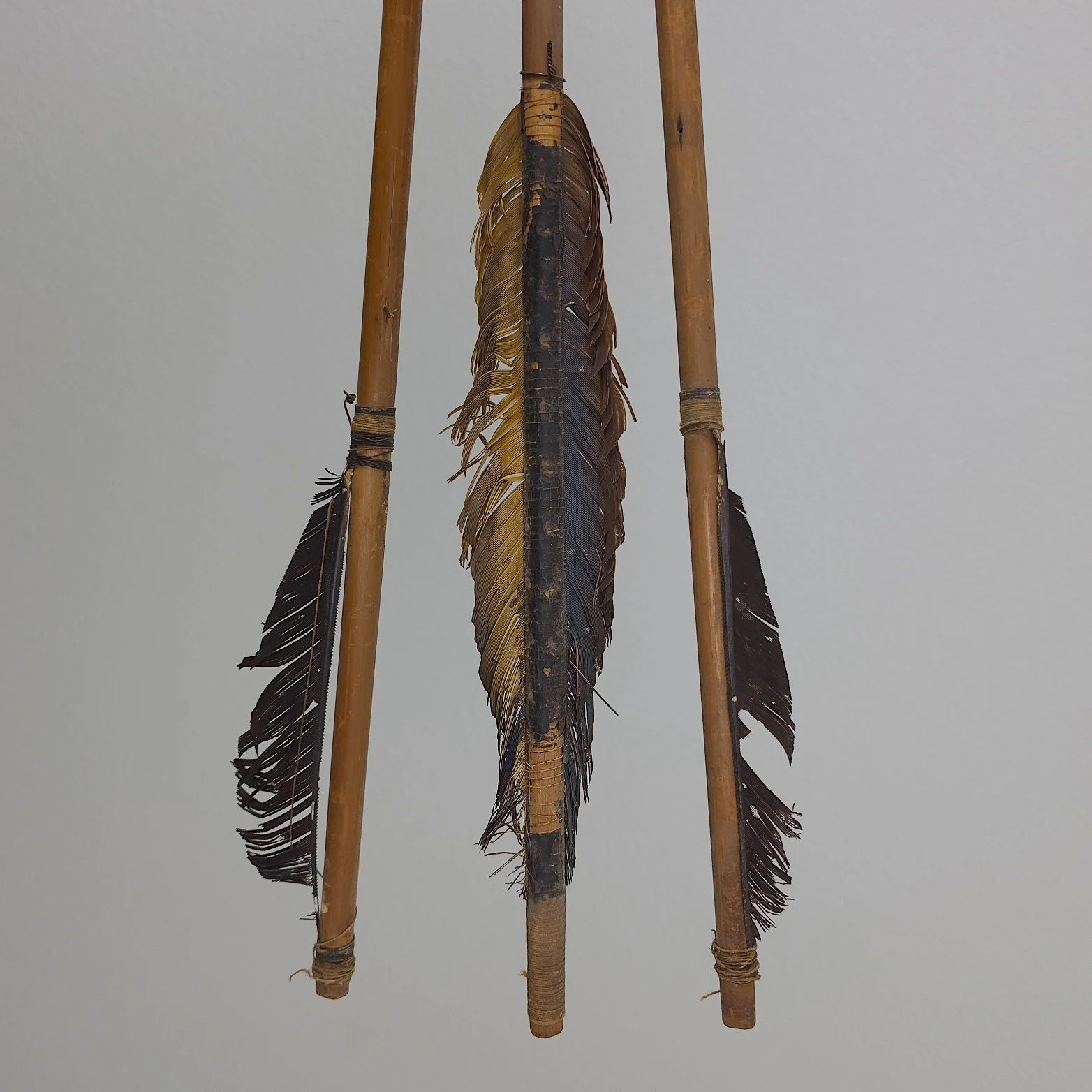 A Set of Amazonian Arrows