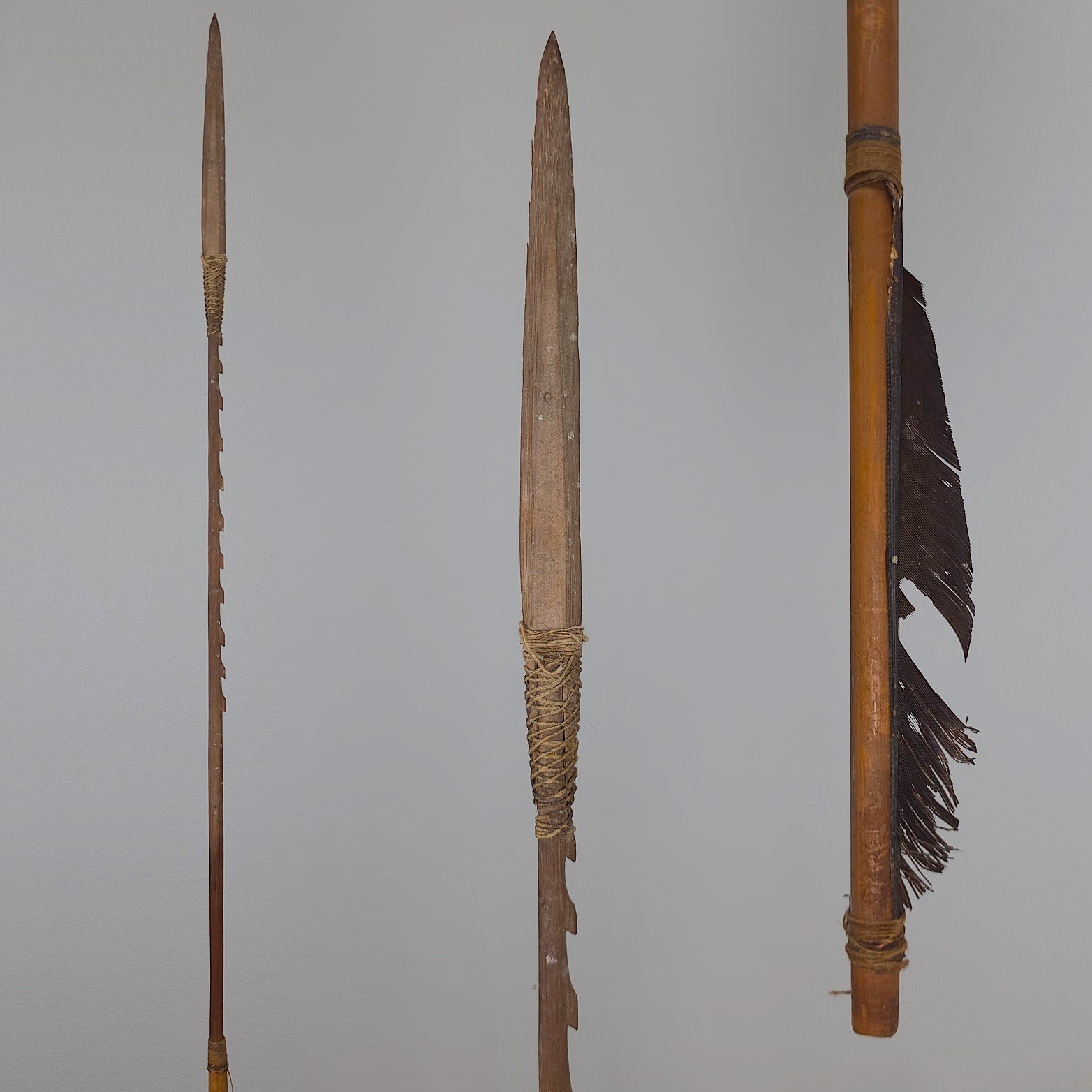 A Set of Amazonian Arrows