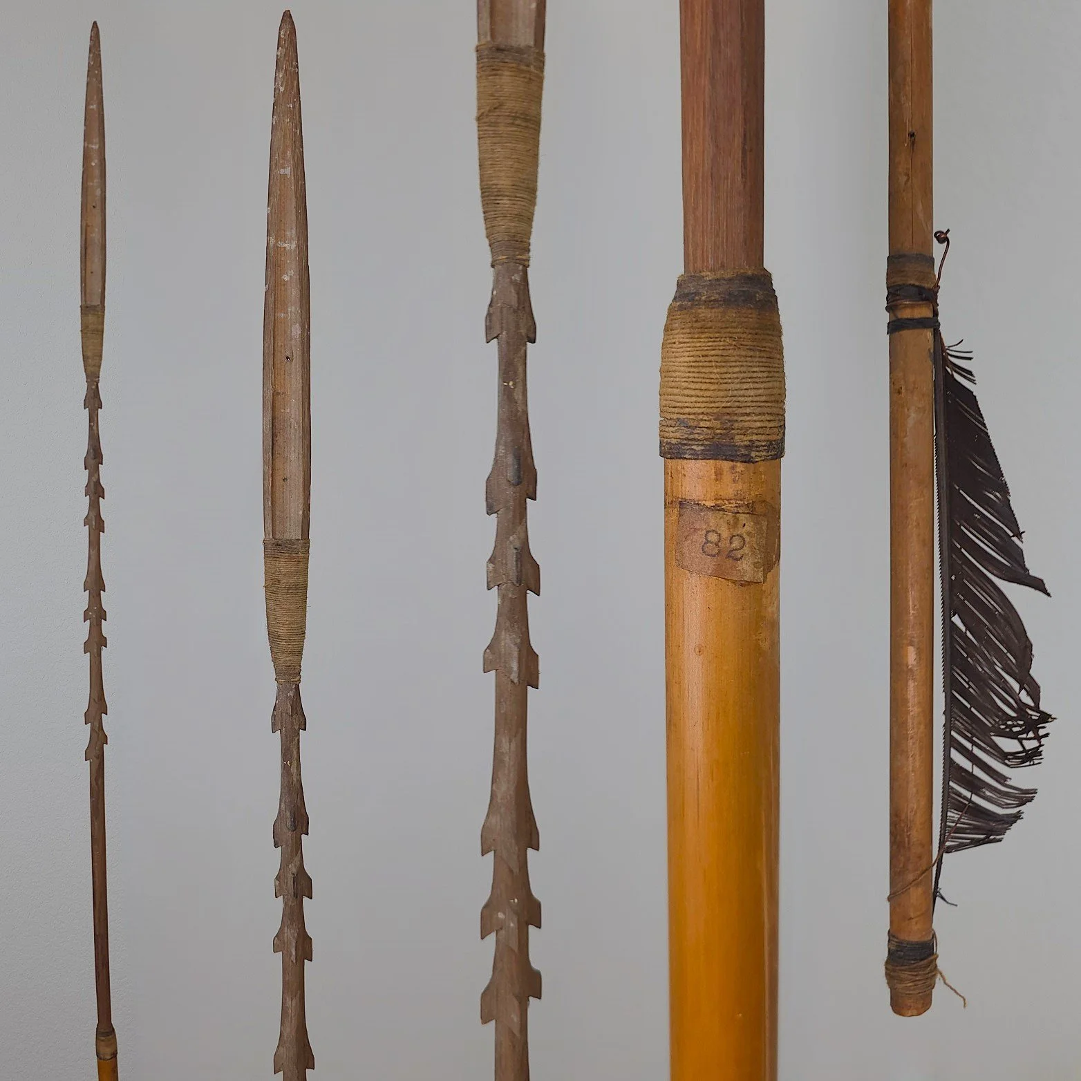 A Set of Amazonian Arrows