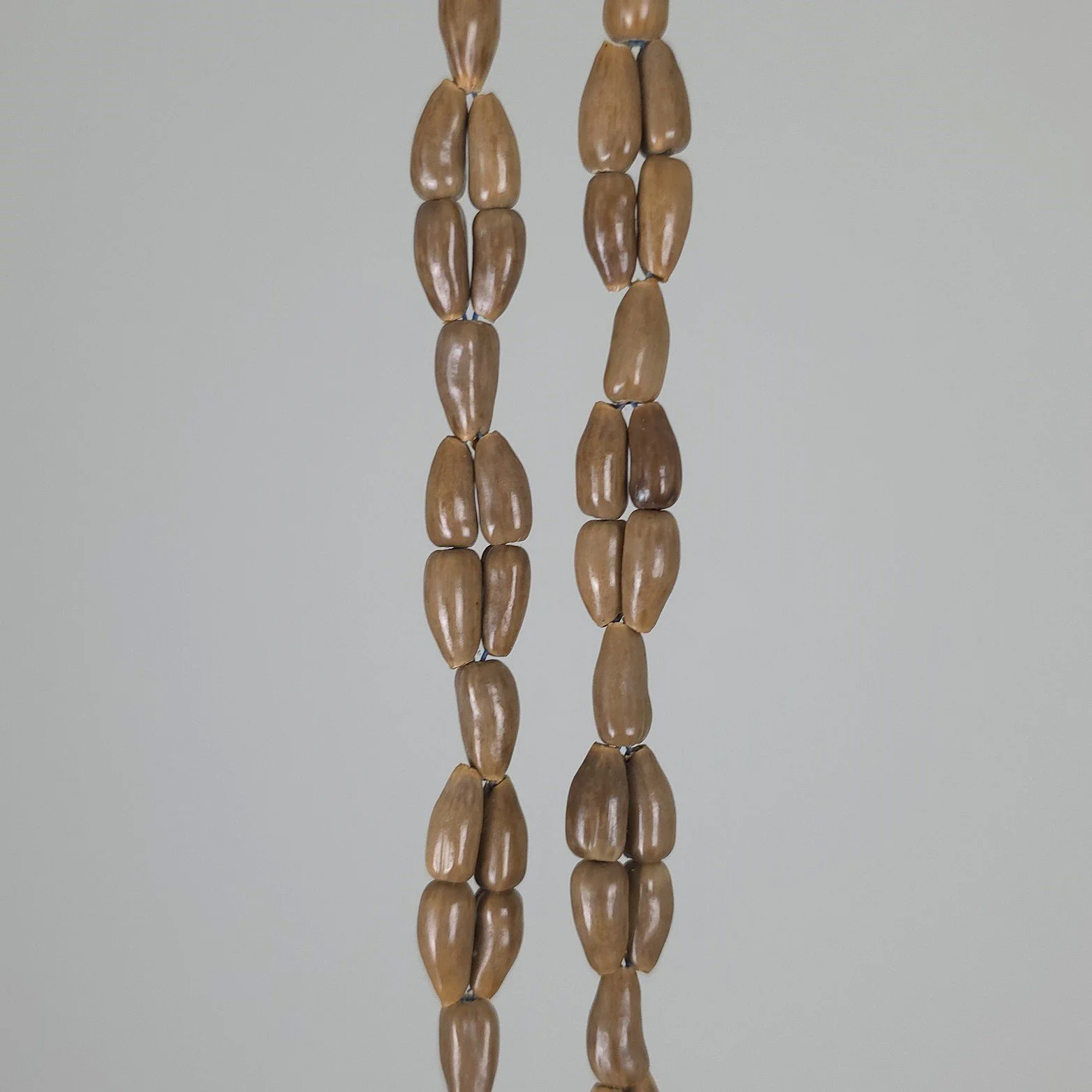 Boar Tusk Ornament