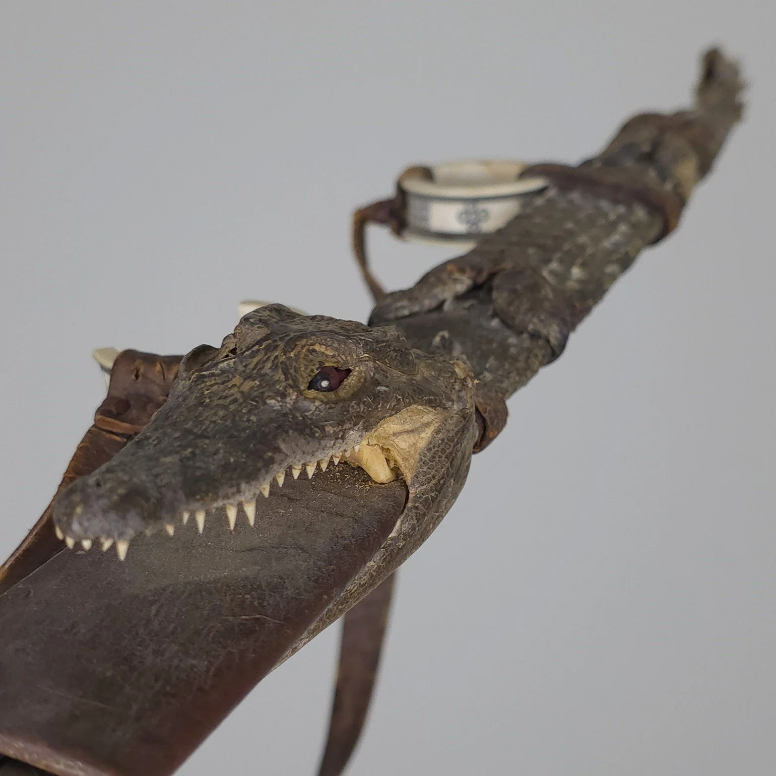 Nilotic Sudanese Crocodile Short Sword