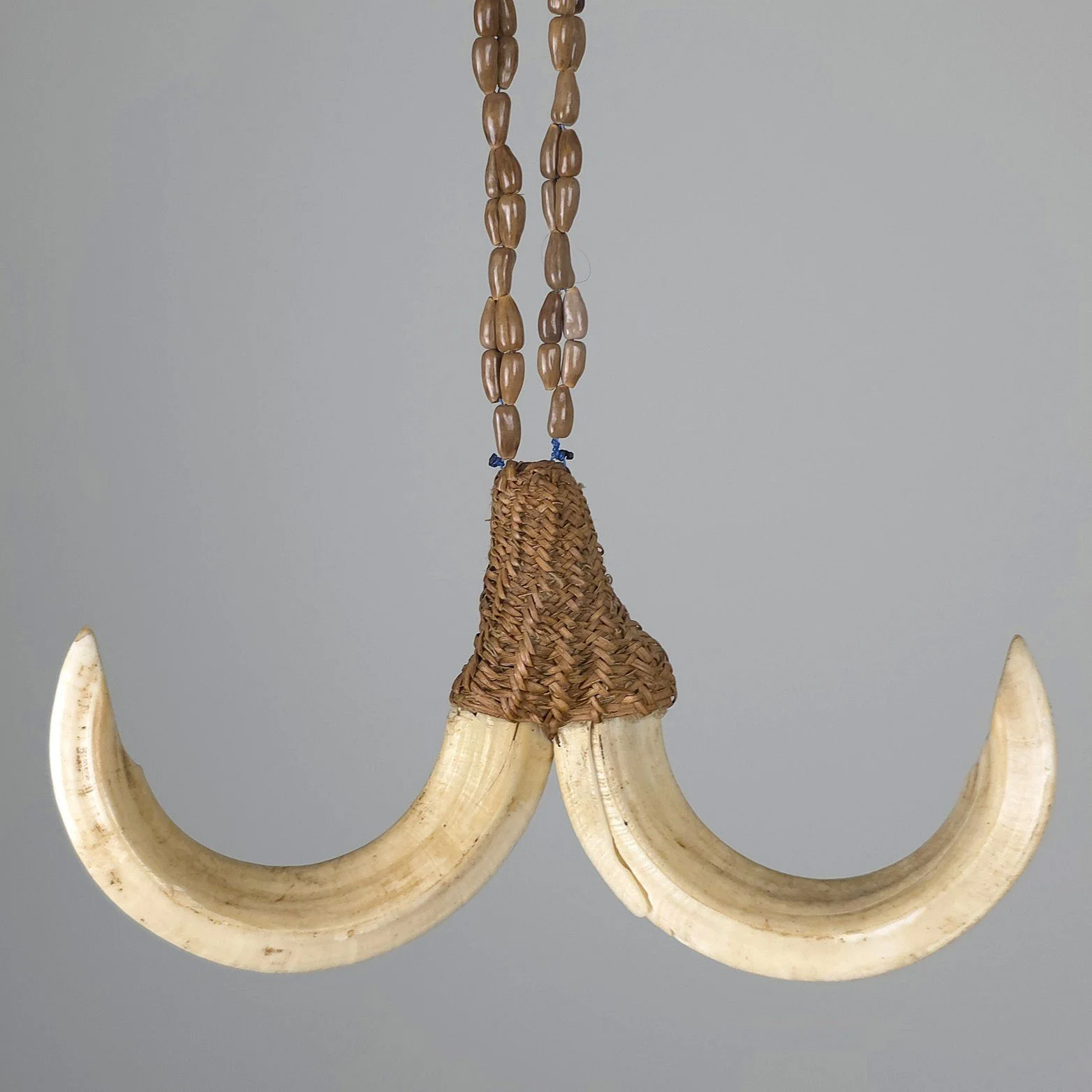 West Papua New Guinea Boar Tusk Necklace