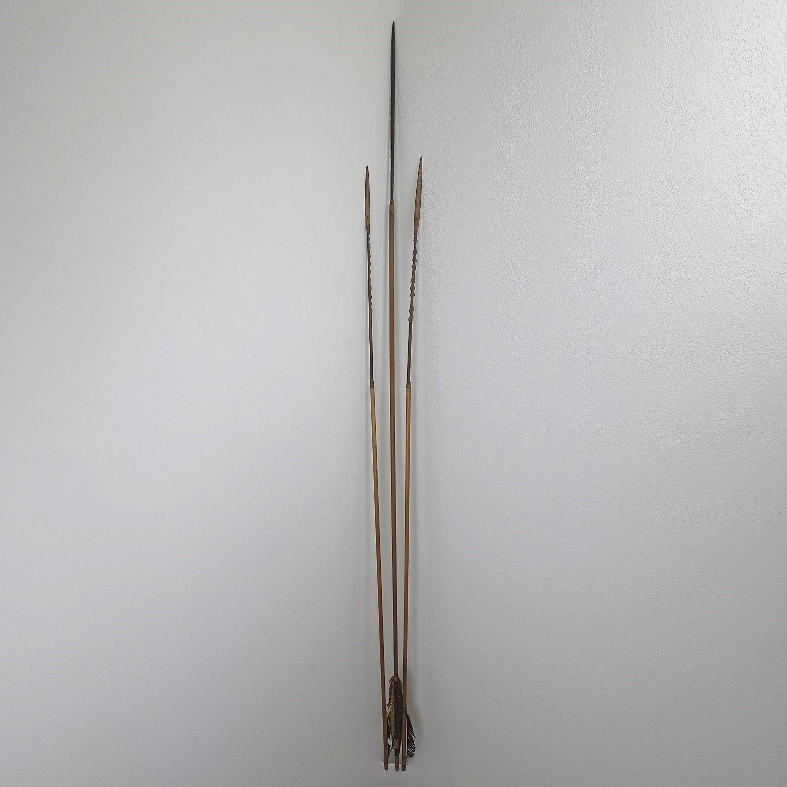 A Set of Amazonian Arrows