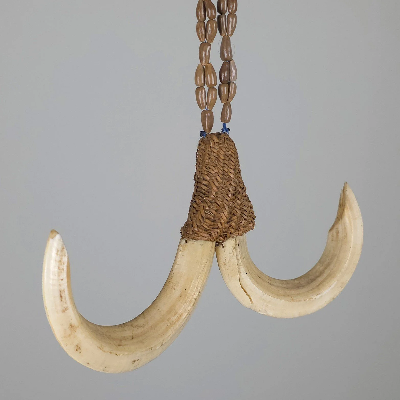 Boar Tusk Ornament
