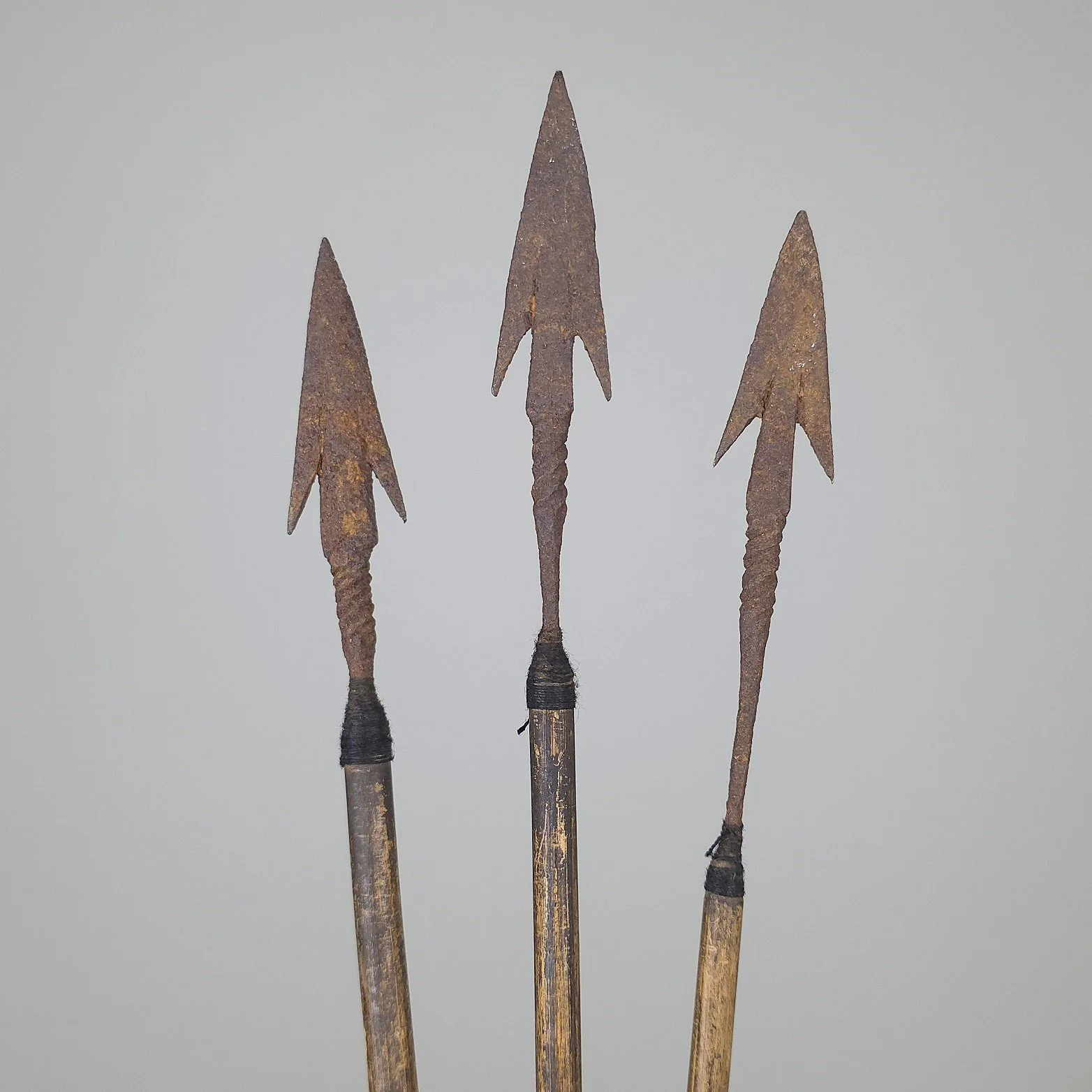 Himalayan Arrows