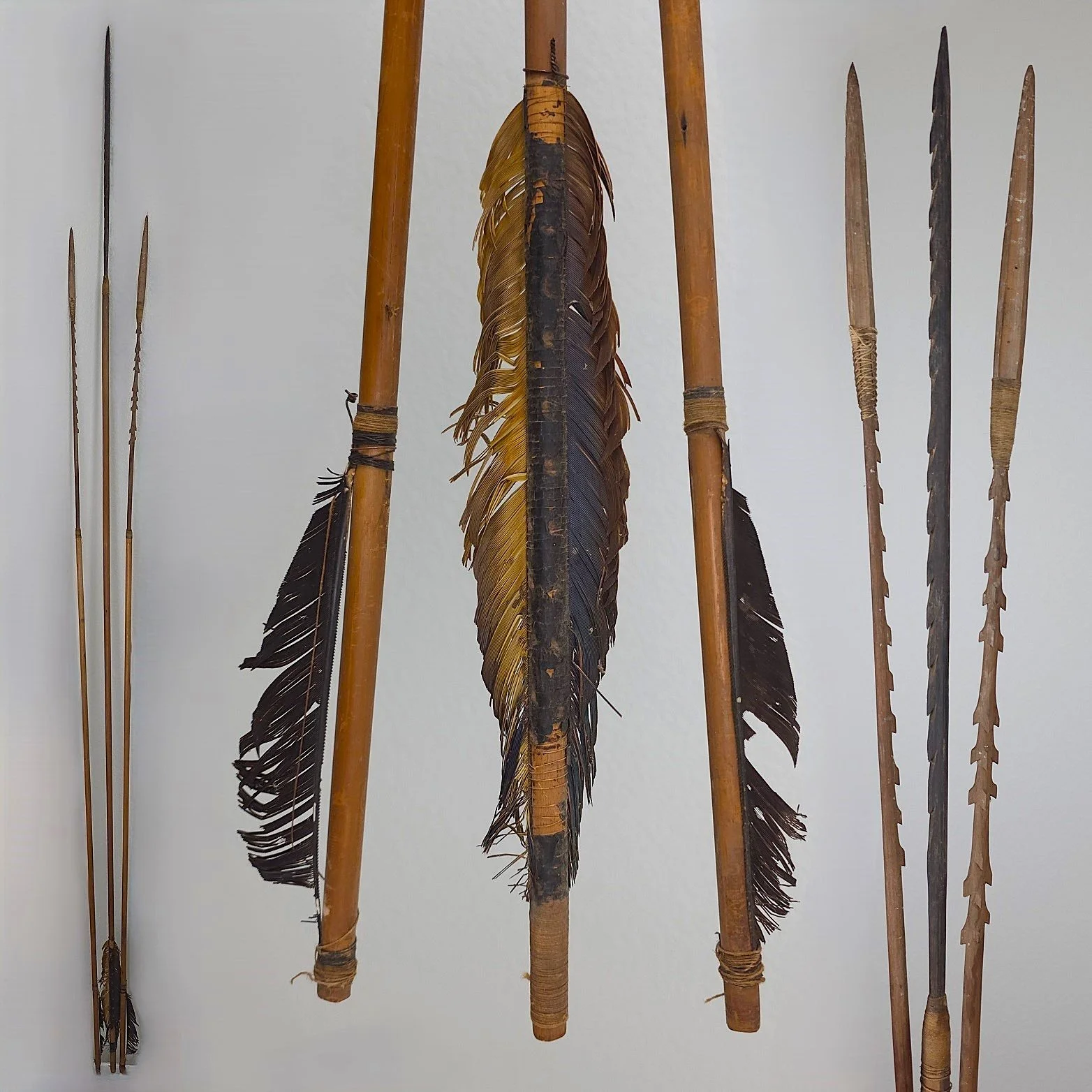 A Set of Amazonian Arrows