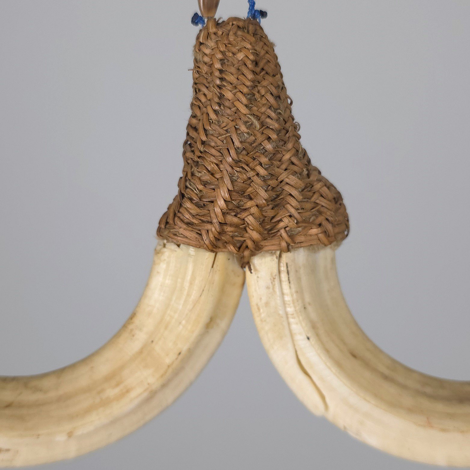 Boar Tusk Ornament