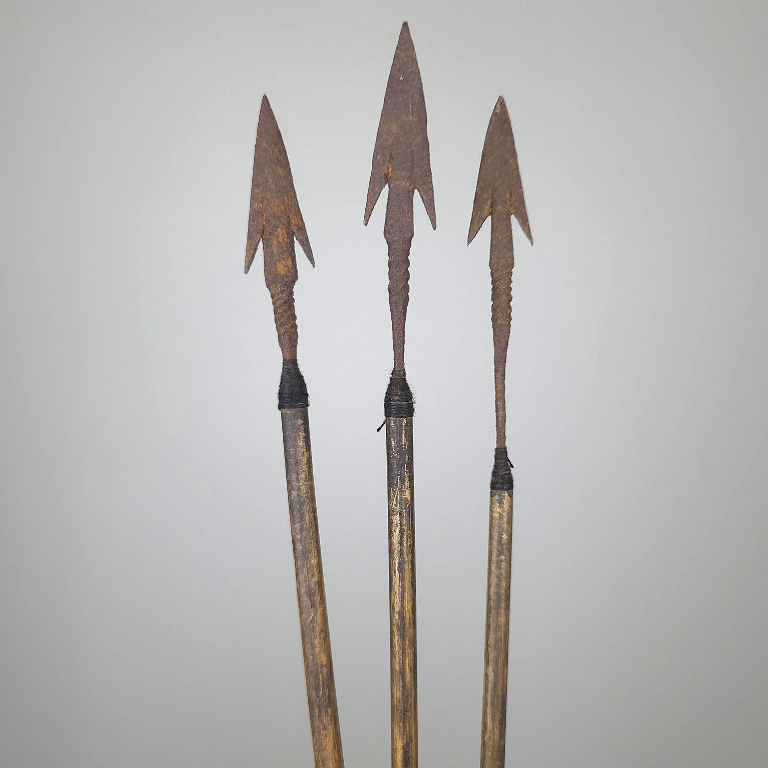Himalayan Arrows