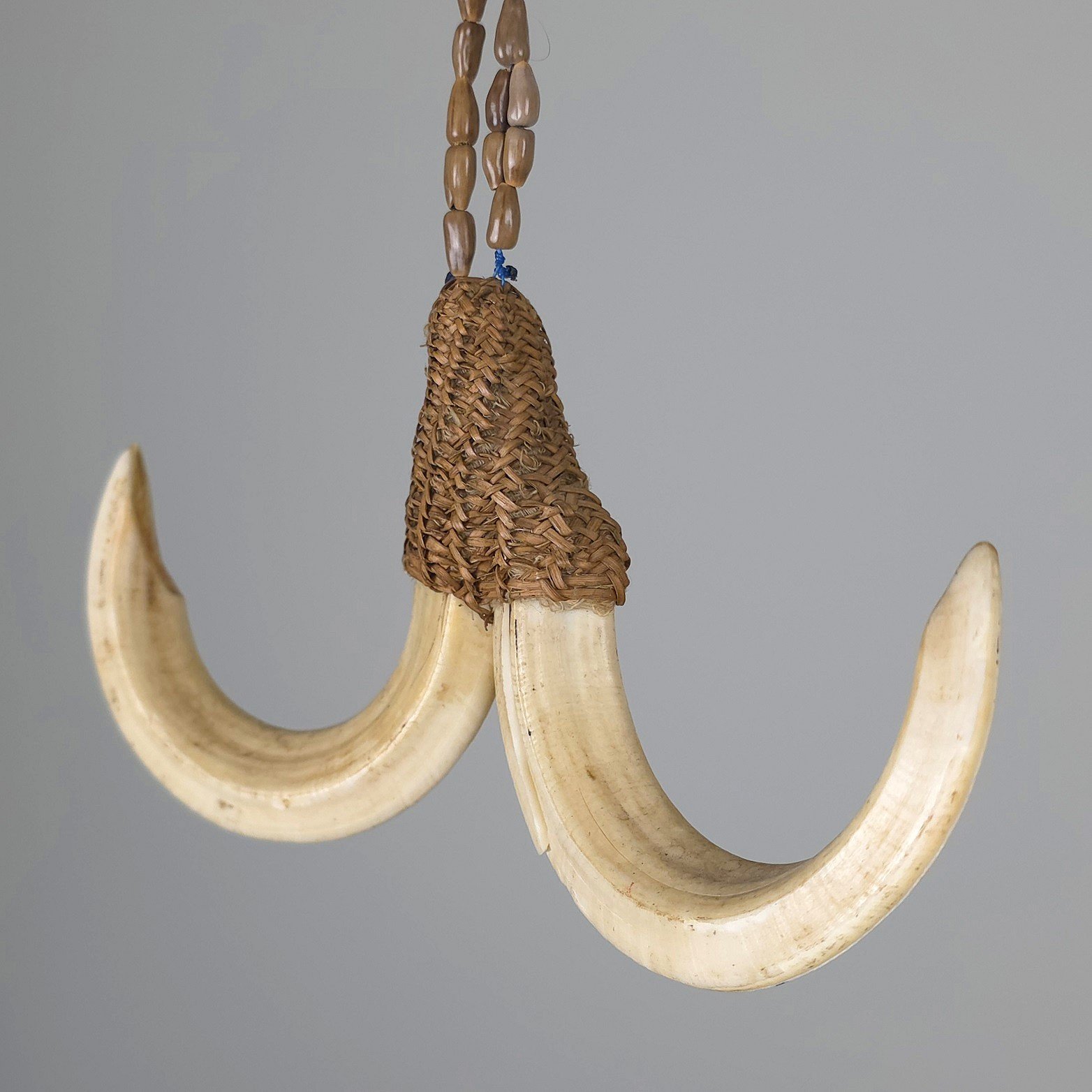 Boar Tusk Ornament