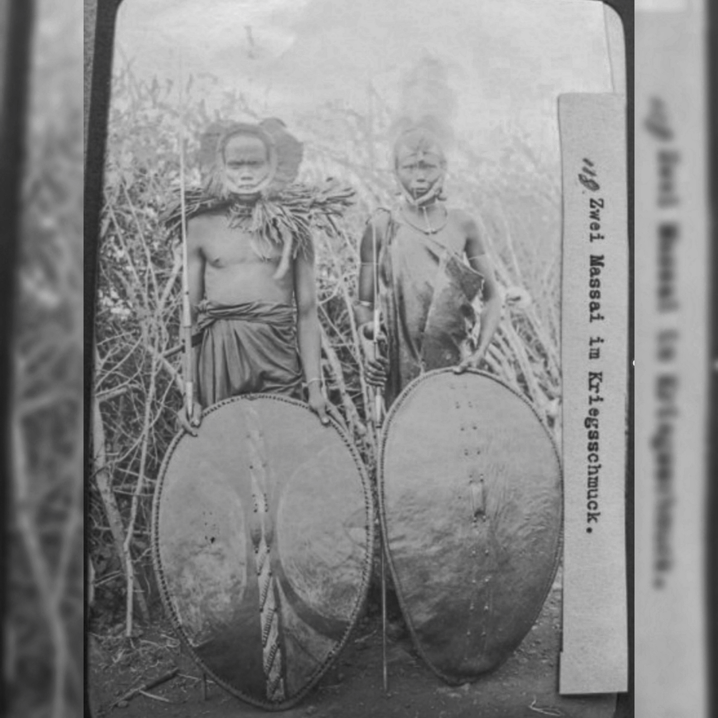 An Early Massai Shield