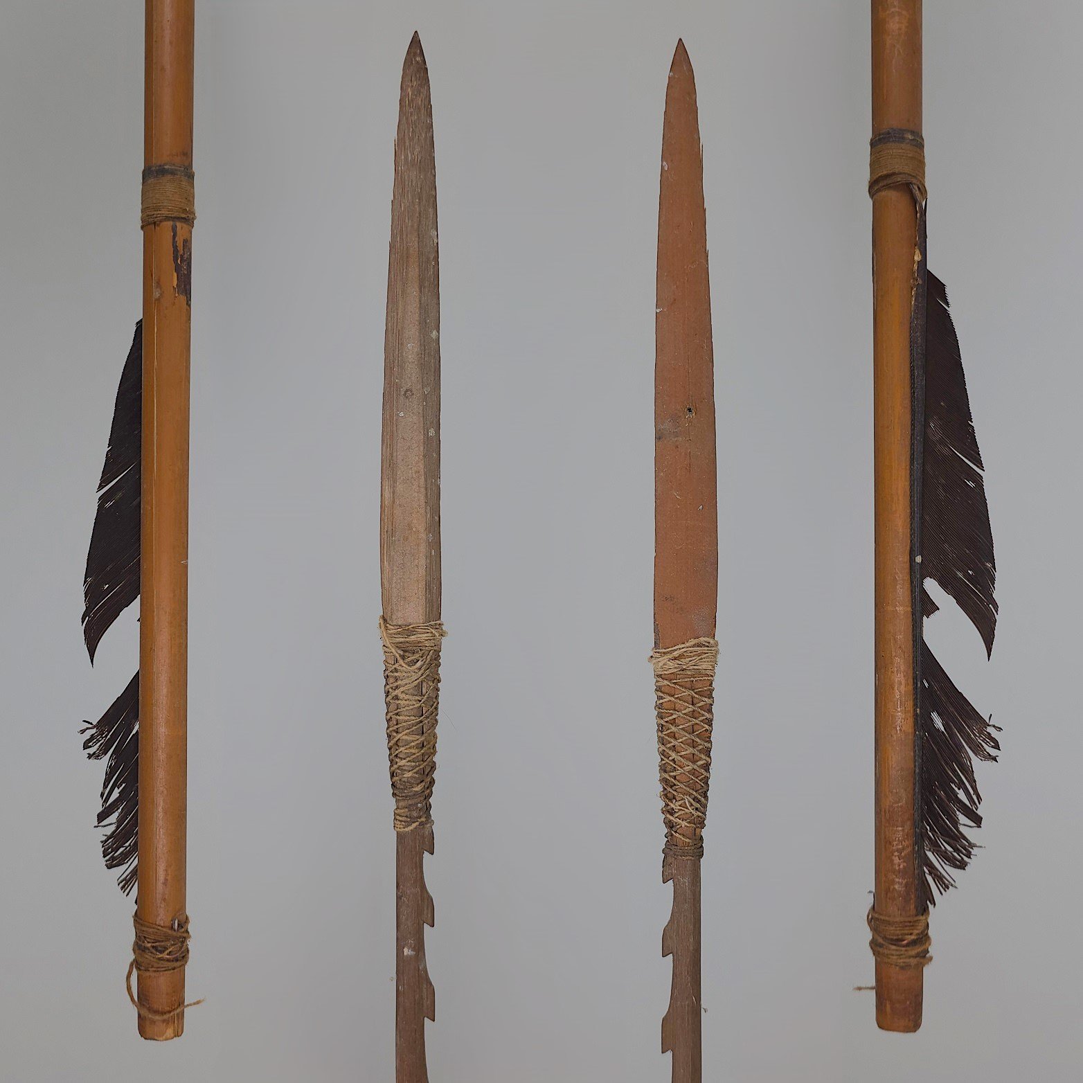 A Set of Amazonian Arrows