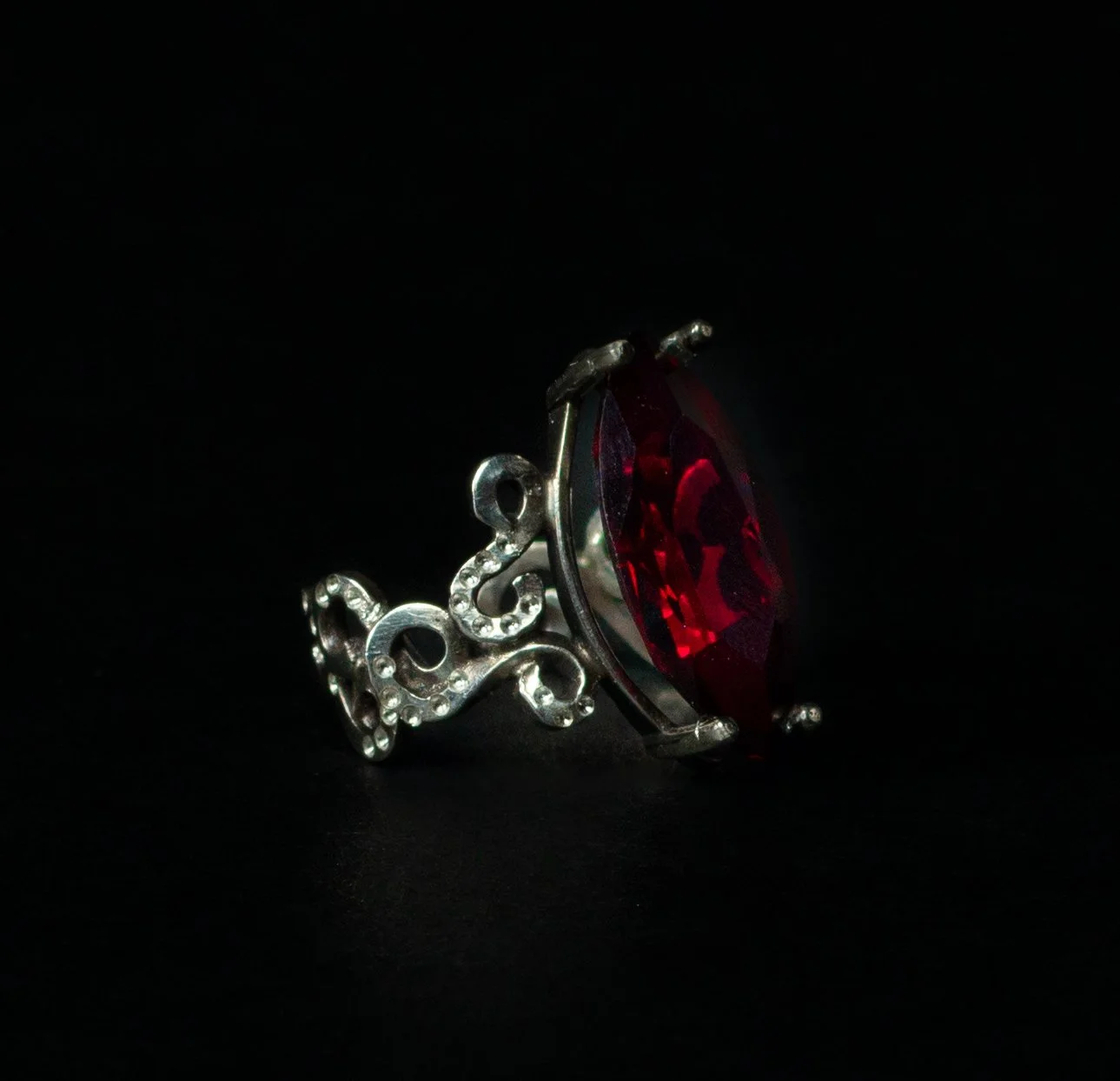 C-trunkshow-59.jpg