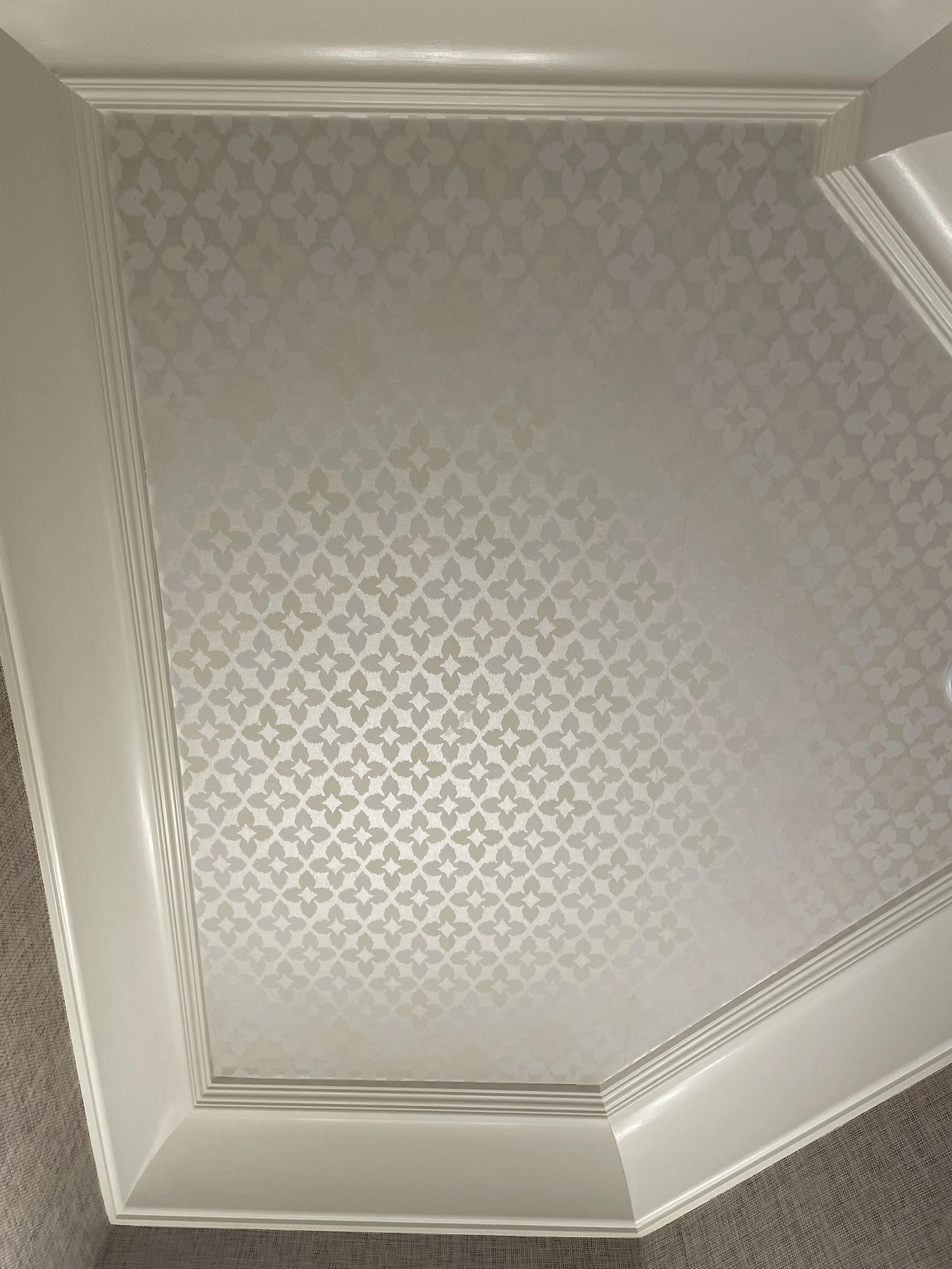 Bathroom Cieling.jpg