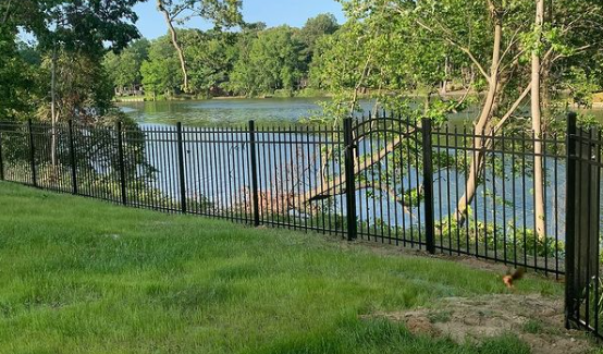 A black aluminum metal fence along a grassy yard near a body of water surrounded by green trees.