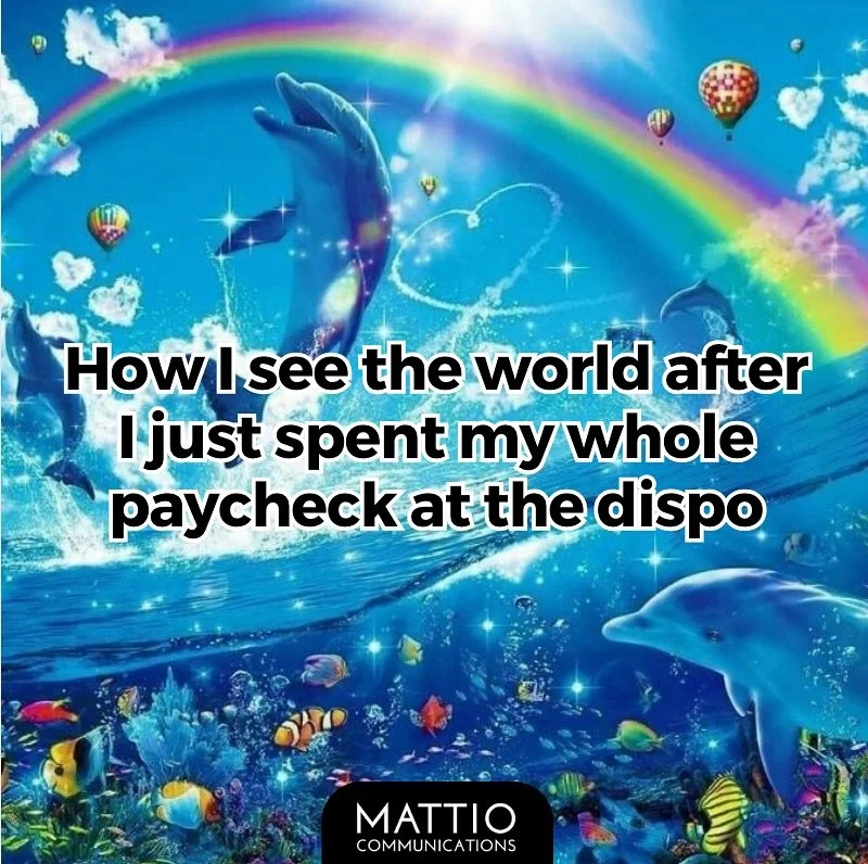 the ultimate friday feeling 🐬💨
