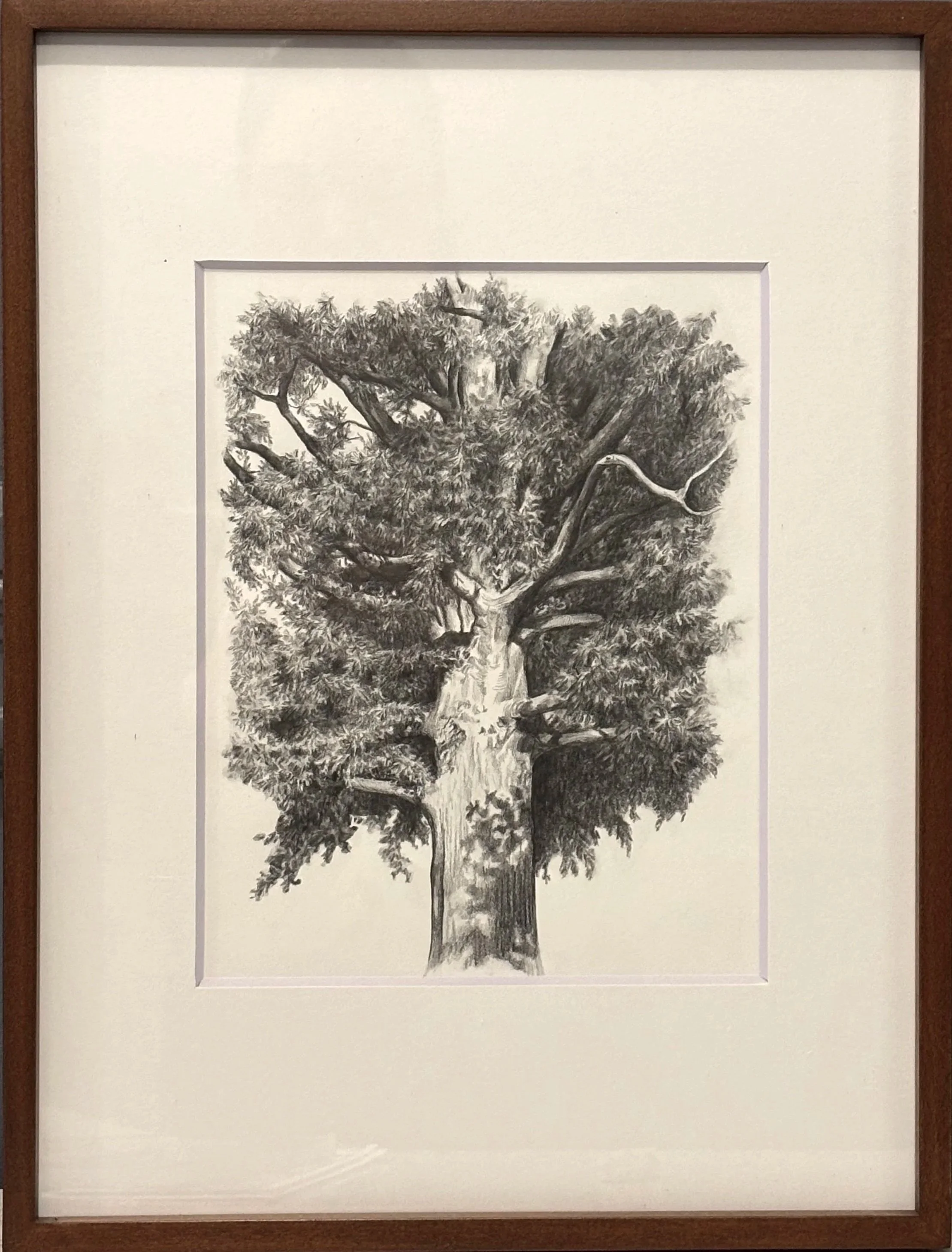 Kensington Ave, 2026. Graphite on bristol board - 8 x 10 in.