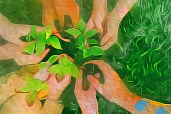 Building a More Impactful, Visionary, and Inclusive Future