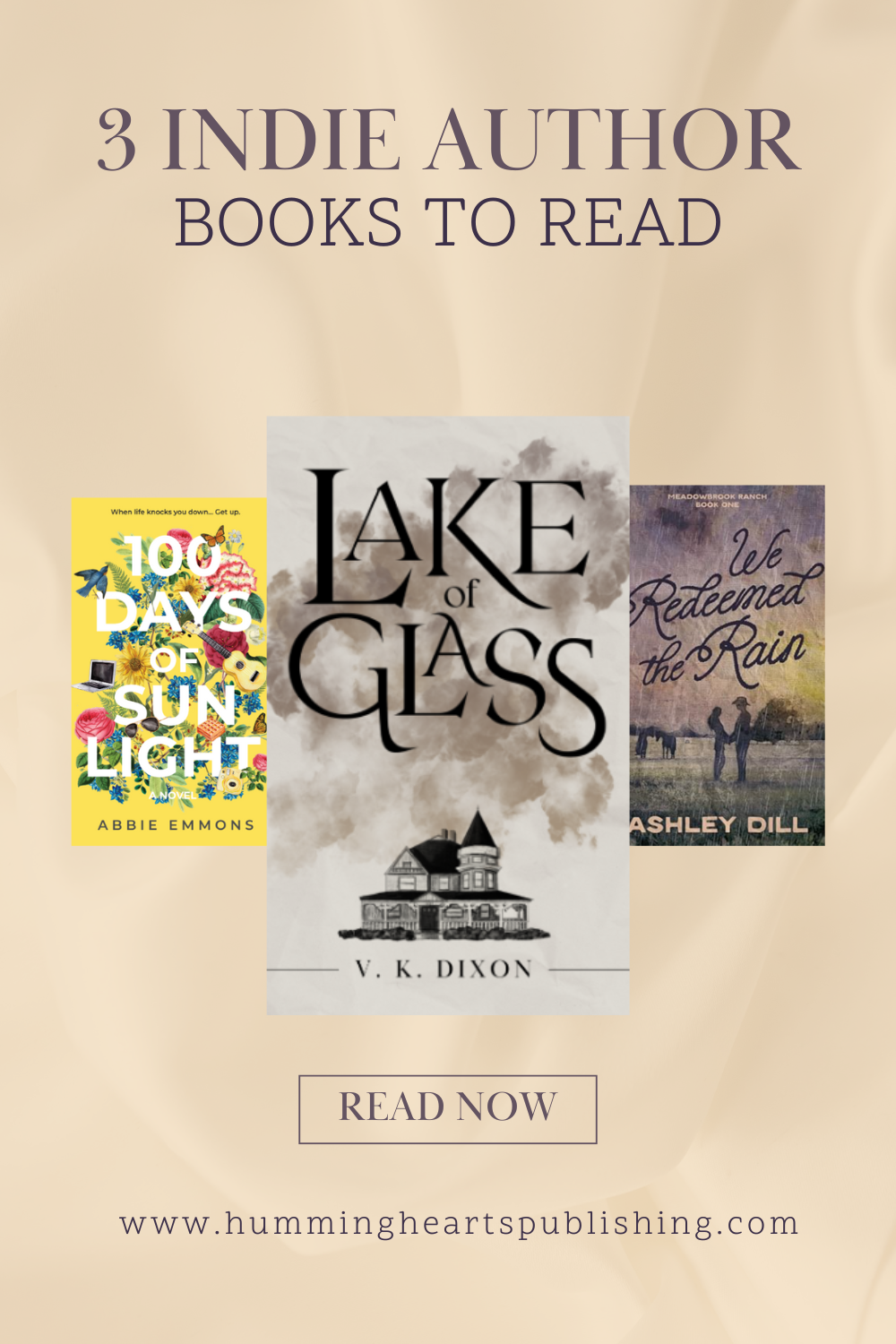 Three Indie Author's Books to read